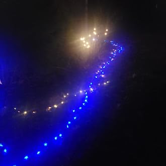 Brightown 60 LED Flower Solar String Lights Outdoor Waterproof Fairy Lights for Garden Yard Fence Patio Christmas Tree Wedding Party Decor, Multicolor - Customer Photo 2