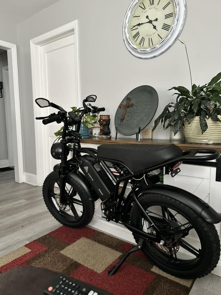 TST Electric Bike - Customer Photo 1