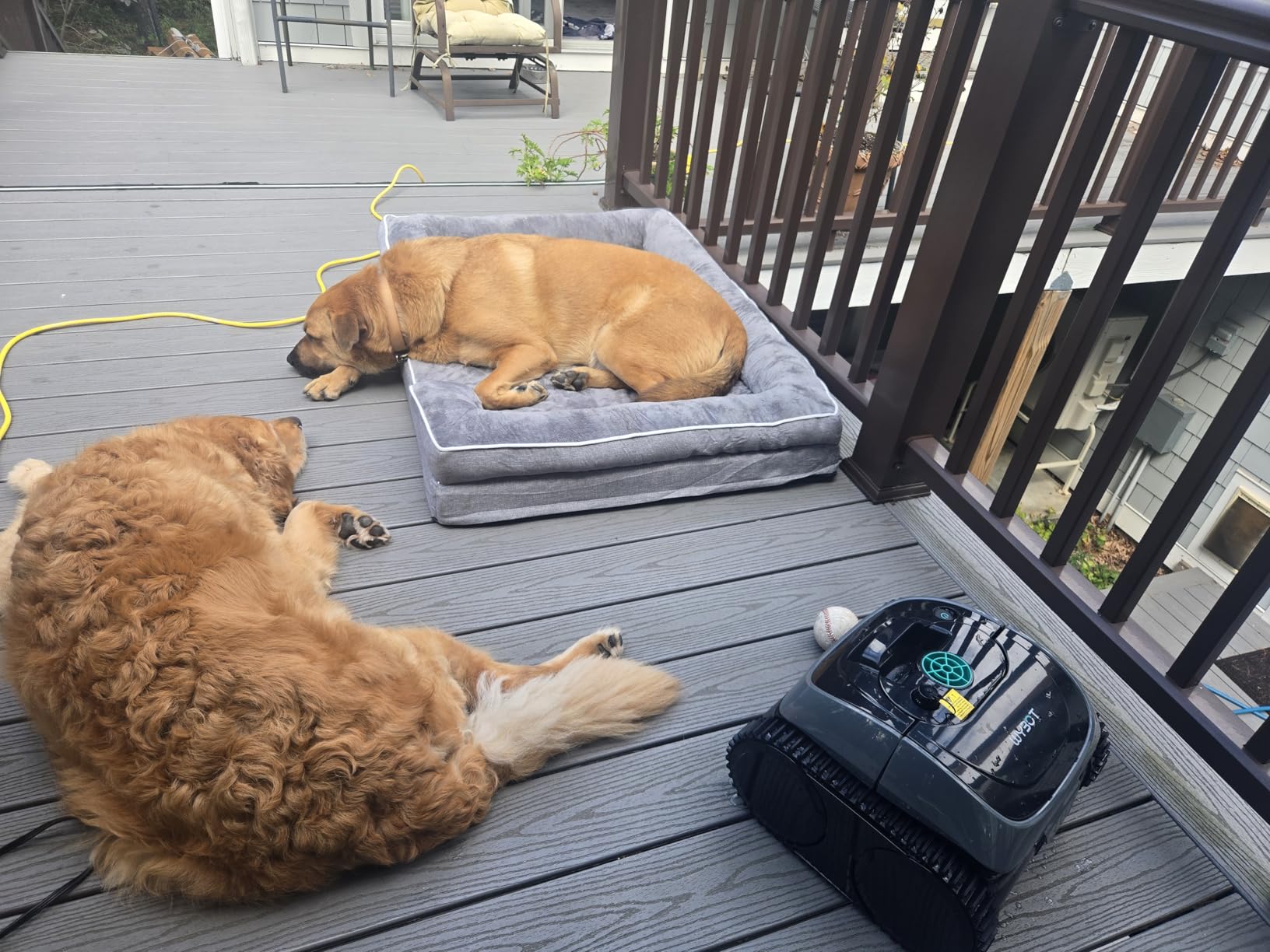 (2025 Upgrade) WYBOT C1 Robotic Pool Vacuum for Inground Pools, Professional Cordless Pool Cleaner 150mins 4-in-1 Wall & Waterline Cleaning Up to 1,614sq.ft, Smart Navigation, App Support Customer Review (2025 Upgrade) WYBOT C1 Robotic Pool Vacuum for Inground Pools, Professional Cordless Pool Cleaner 150mins 4-in-1 Wall & Waterline Cleaning Up to 1,614sq.ft, Smart Navigation, App Support - Customer Photo 1