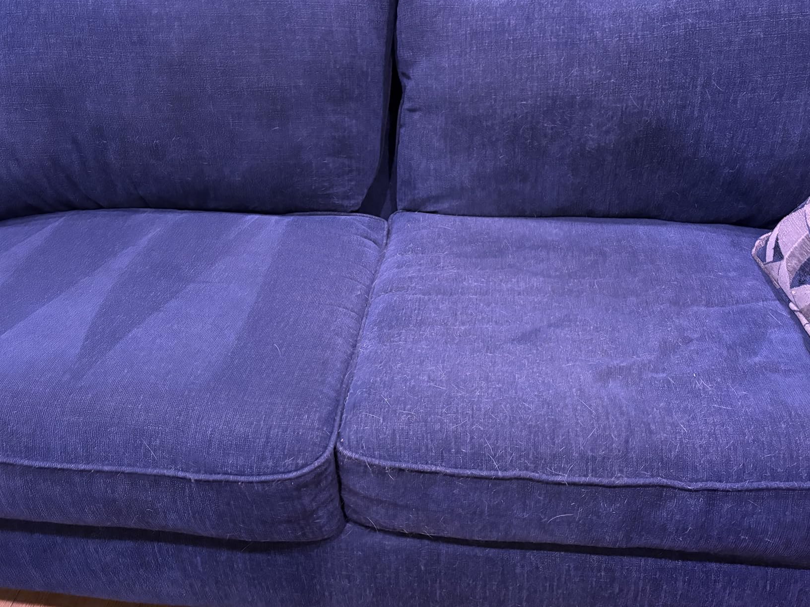 Dyson Car+Boat Handheld Vacuum, Cordless and Lightweight, Cleans Hard Surfaces and Upholstery, 115AW, 2 Power Modes, Up to 50 Minutes - Customer Photo 1