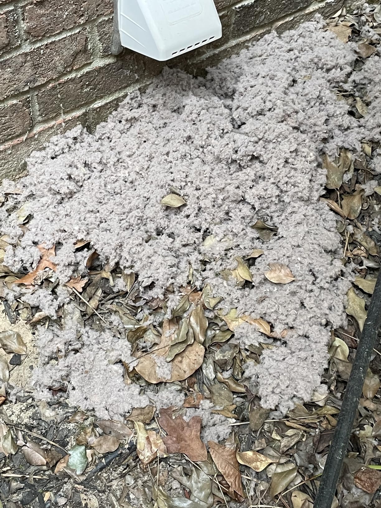 V2ine Cyclone Home Dryer Vent Duct Cleaning Kit：23feet Pressure Hose + 2 Jetter Nozzle + 1/4 Air Quick Connect+ Ball Valve - Customer Photo 1