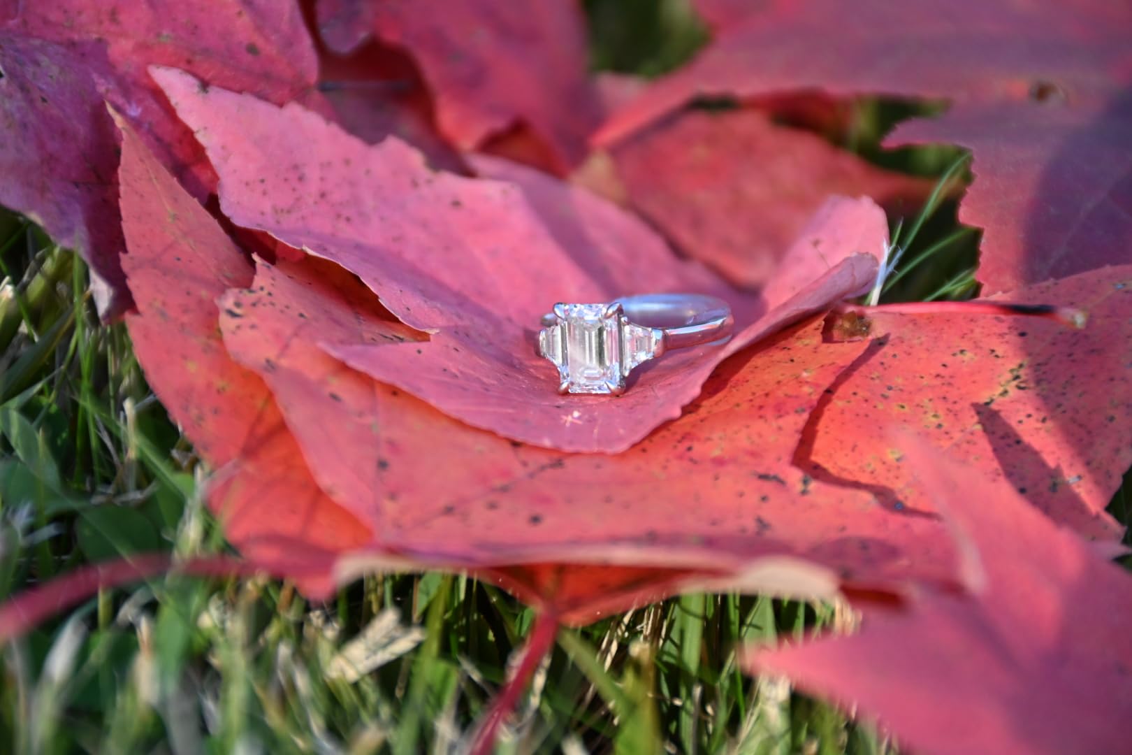 Nikon Z50 II | Compact mirrorless Stills/Video Camera with Easy Color presets and Wireless Photo Sharing | Nikon USA Model - Customer Photo 1