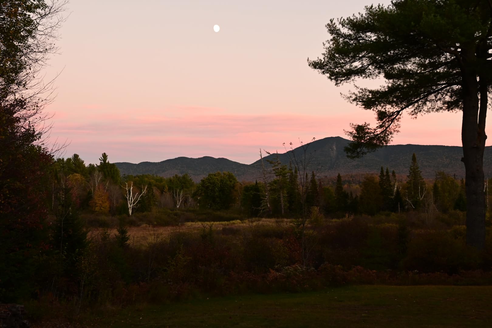 Nikon Z50 II | Compact mirrorless Stills/Video Camera with Easy Color presets and Wireless Photo Sharing | Nikon USA Model - Customer Photo 2