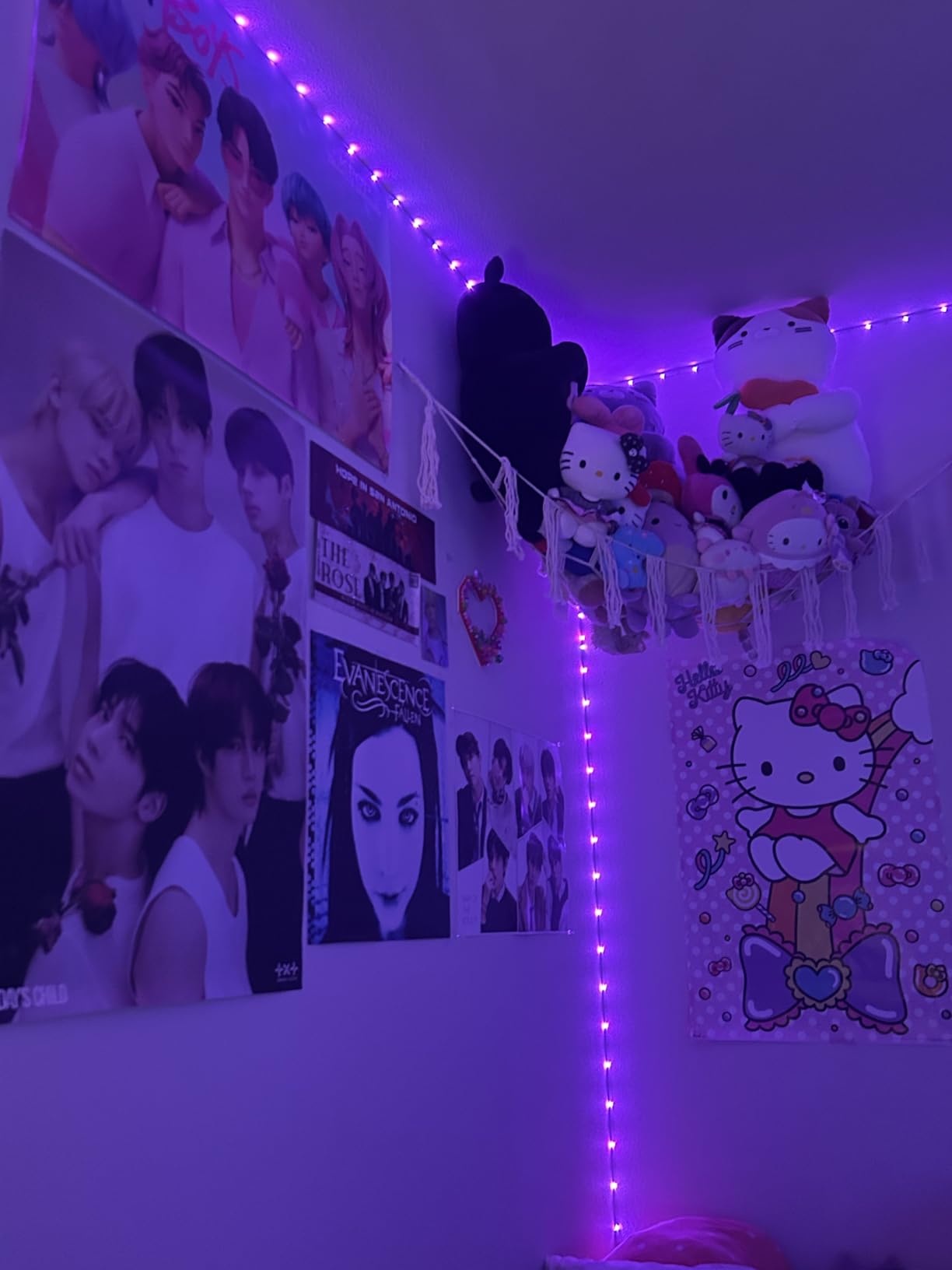 DAYBETTER LED Strip Lights 110ft, Smart Lighting Strips with App Remote Control, RGB Music Sync Color Changing Lights for Bedroom Kitchen Party Home Decor(1 Roll) - Customer Photo 2