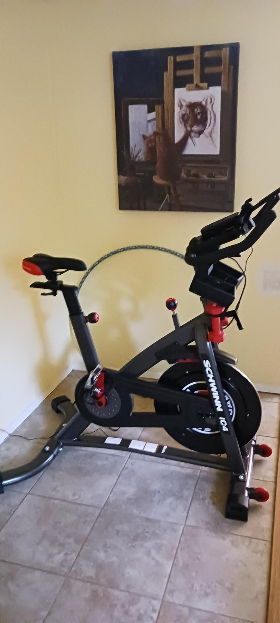 Schwinn Fitness IC Indoor Cycling Bike Series - Customer Photo 1