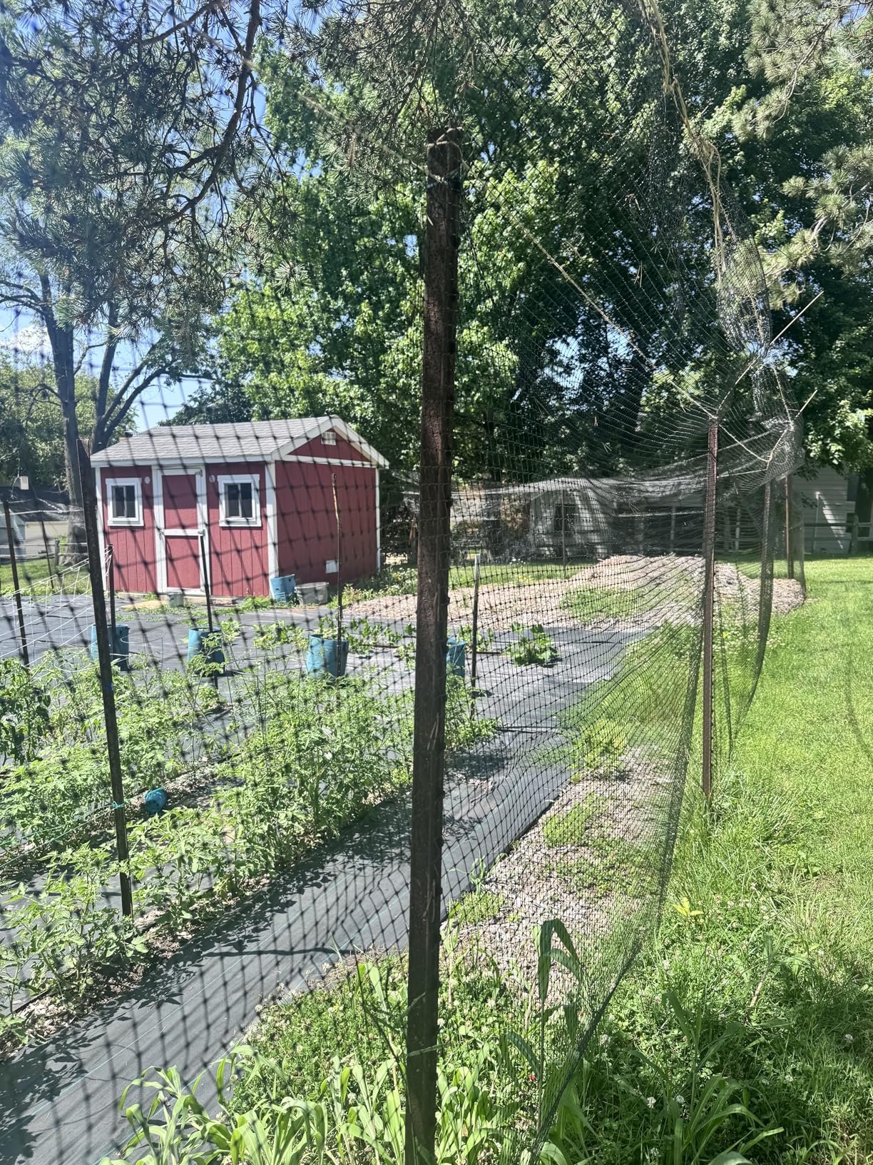 FRUITEAM Deer Fence Netting, 8FT x 100FT Heavy Duty Black PP Coated, Garden Protection Barrier, 0.7