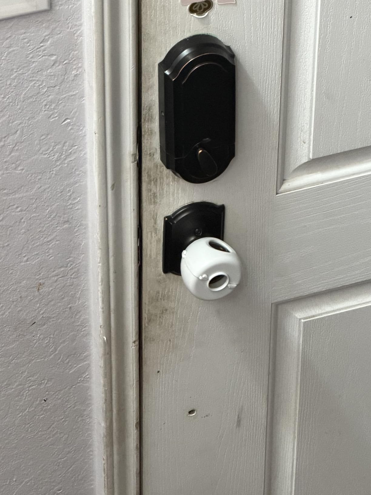 Steam Cleaner,15s Heat-Up,1.6L Tank,3-Level Adjustable Handle,2500W Steamer for Cleaning,Portable Steamer for Cleaning with 16PCS Accessories,Steam Cleaner for Home,Car,Dirt,Grease,Grout,Tile,Couch - Customer Photo 2