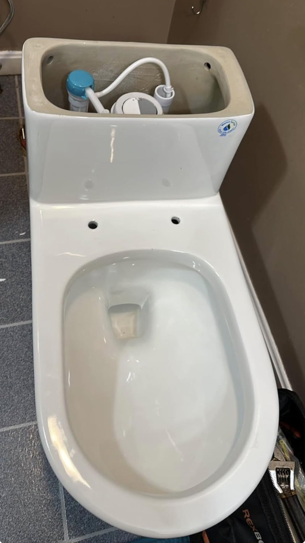 Casta Diva Elongated One Piece Toilet with 17