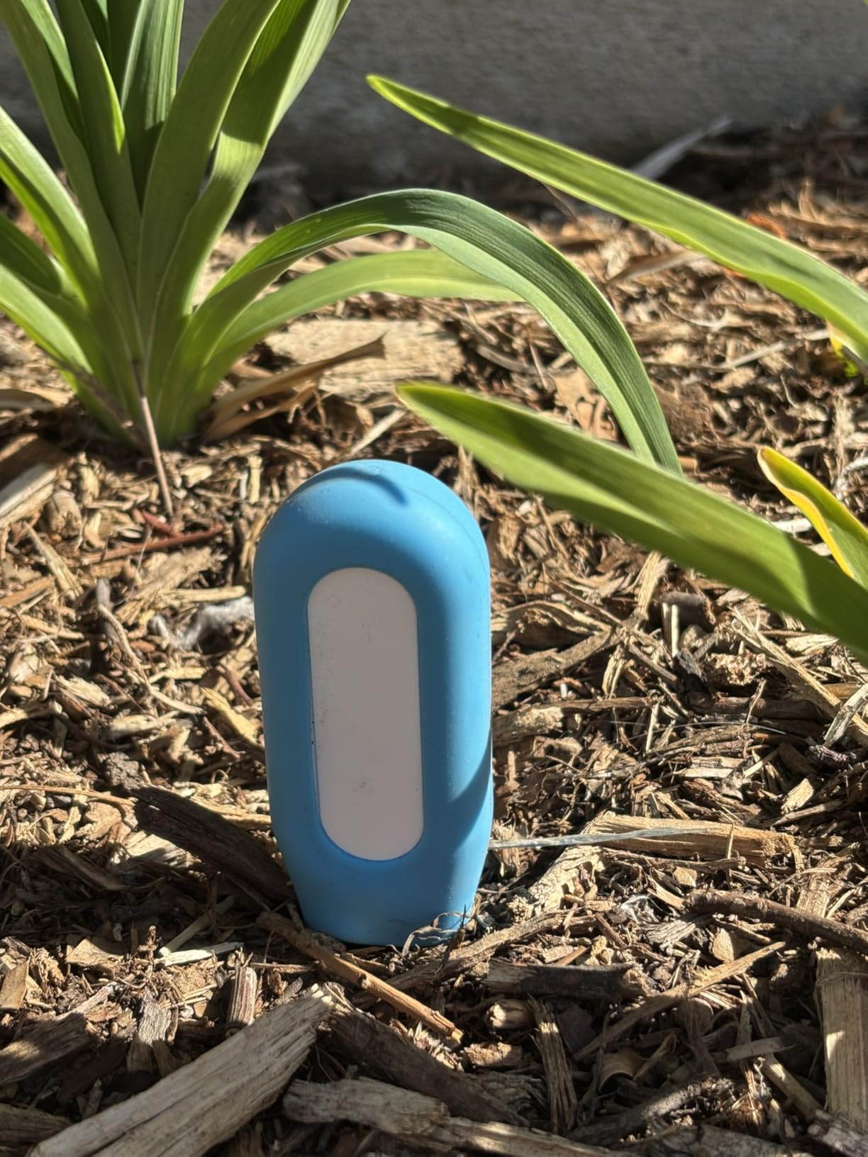 iLight Smart Plant Soil Moisture Meter + App | Bluetooth Soil Sensor + Notifications | Wireless Plant Care Remote Monitoring, Smart Garden Planting Device Indoor Outdoor Plants | Moisture System Gift - Customer Photo 2