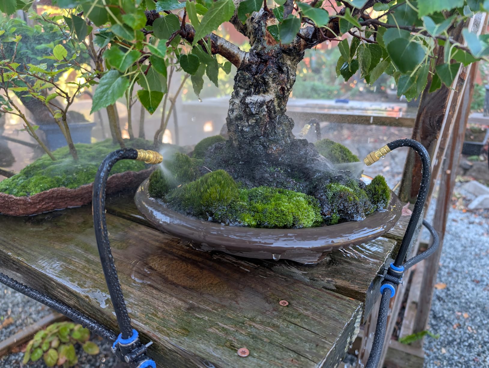 360° Adjustable Drip Irrigation System - 50FT Garden Watering System with 16 Nozzles, Garden Irrigation System, Greenhouse Accessories, Atomizing System for Yard, Lawn, Plants, 5/16 inch Hose - Customer Photo 2