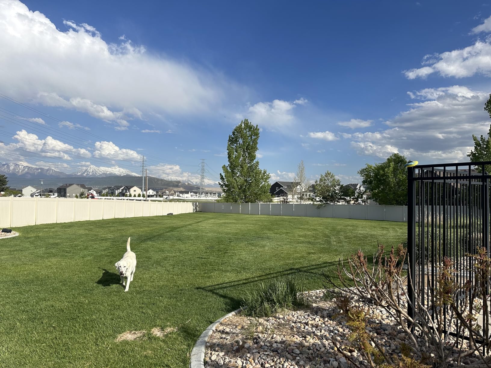 Husqvarna 410iQ Automower Robotic Mower, 0.5 Acre Mowing Capacity, Wire Free Robot Lawn Mower with Charging Station, RS1 EPOS Reference Station and Replacement Blades, 970727401 - Customer Photo 2