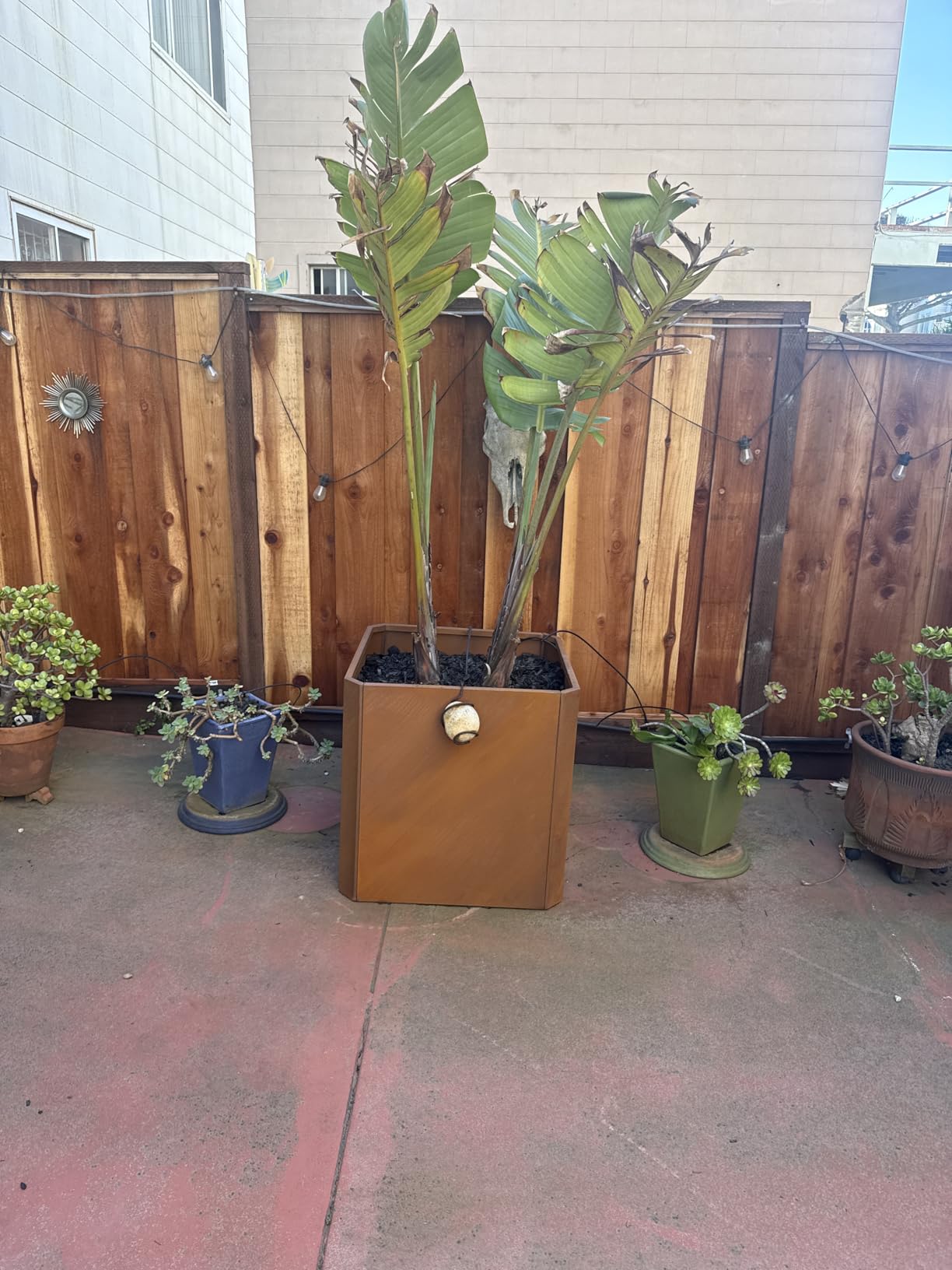 Corten Steel Planter Box-26 Corten Steel Planter Box-26