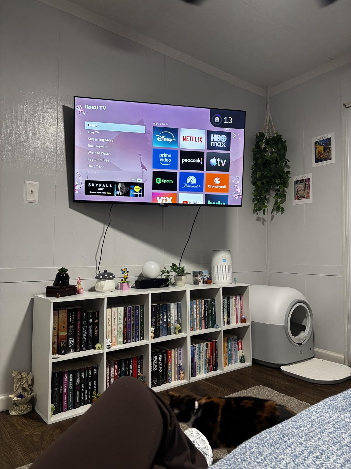 Roku Smart TV 2025 – 55-Inch Select Series, 4K HDR TV with Enhanced Voice Remote - Customer Photo 2