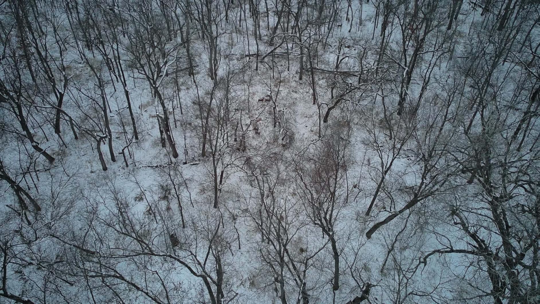 Autel Robotics EVO II Dual 640T Enterprise V3, 640*512 30Hz Thermal&8