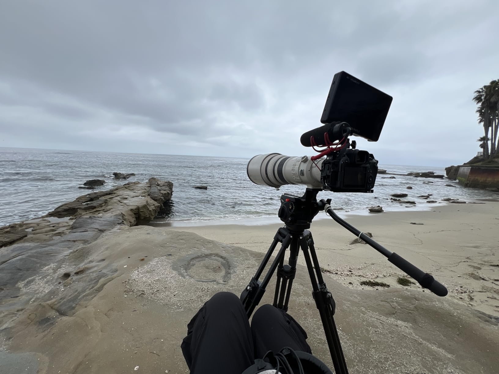 Manfrotto 055 Video Tripod w/502 Video Fluid Head, Aluminium, Professional Heavy Duty System customer photo 1