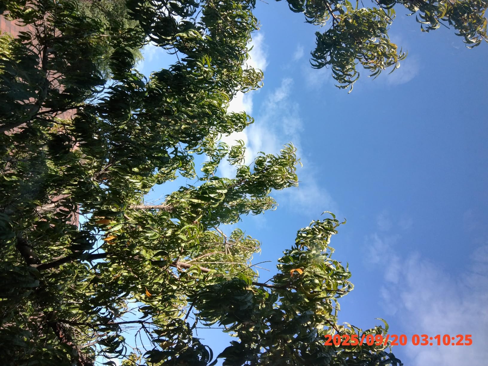 Kodak PIXPRO C1 Friendly Zoom Digital Camera - 13MP Compact Point and Shoot with 2.8 Kodak PIXPRO C1 Friendly Zoom Digital Camera - 13MP Compact Point and Shoot with 2.8