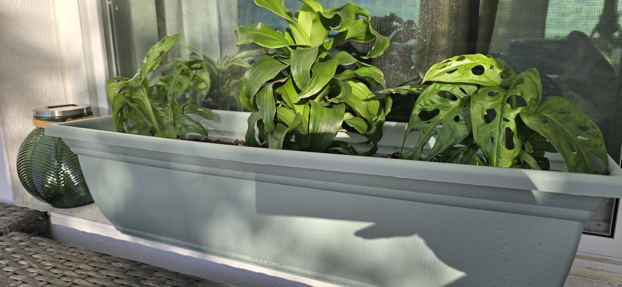 The HC Companies 24 Inch Mojave Window Planter Box with Drainage Holes, Lightweight UV-Resistant Plastic Outdoor Planters, 2-Pack Flower Box for Garden & Home Decor, Cottage Stone - Customer Photo 1