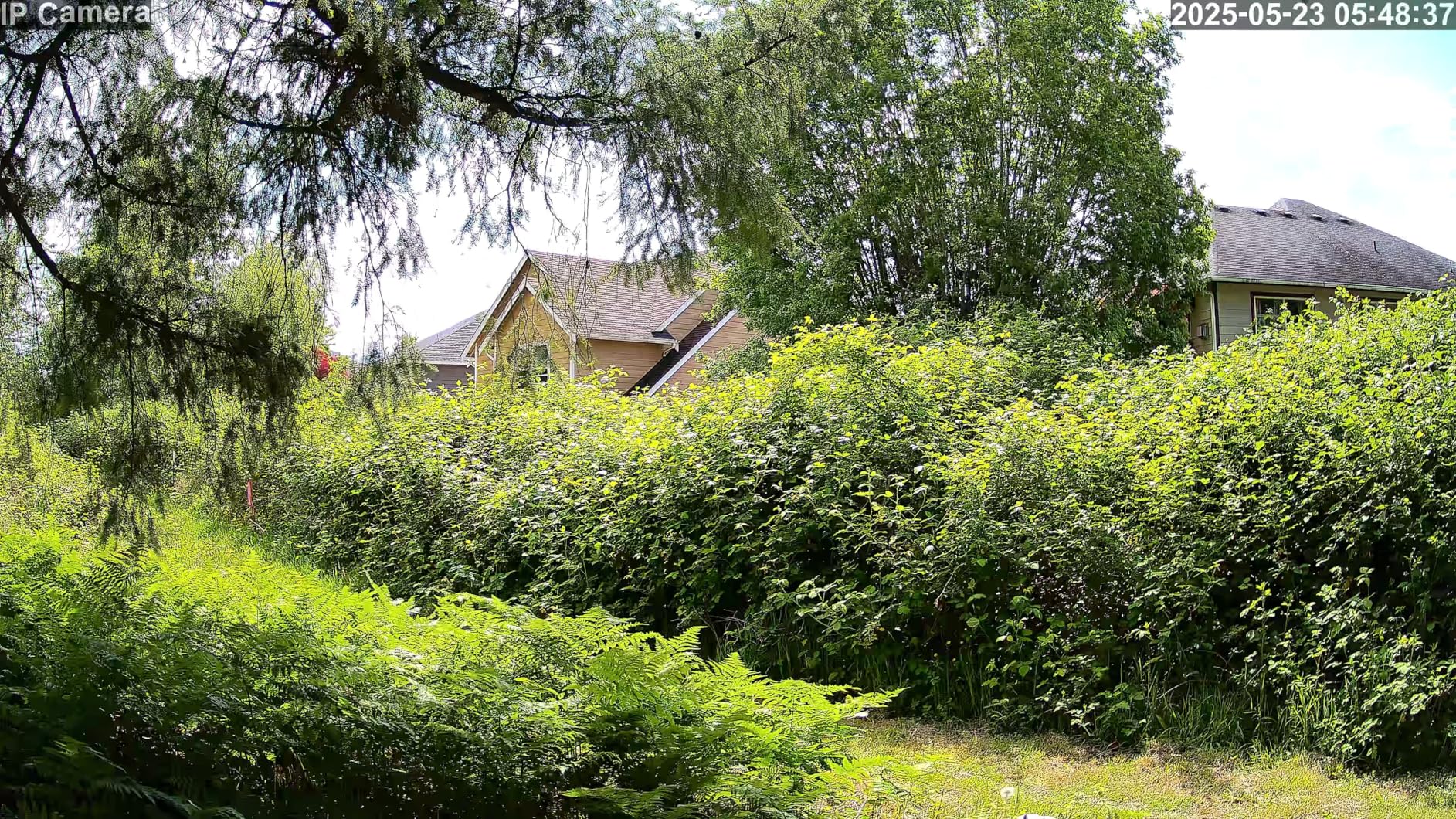 SV3C 4K PTZ POE Wired & WiFi Security Camera Outdoor-Dual Network Support, Auto Tracking ONVIF Security Cam, Color Night Vision, Human/Vehicle Detection, 2-Way Audio, Waterproof, 24/7 Record, CamHiPro - Customer Photo 1