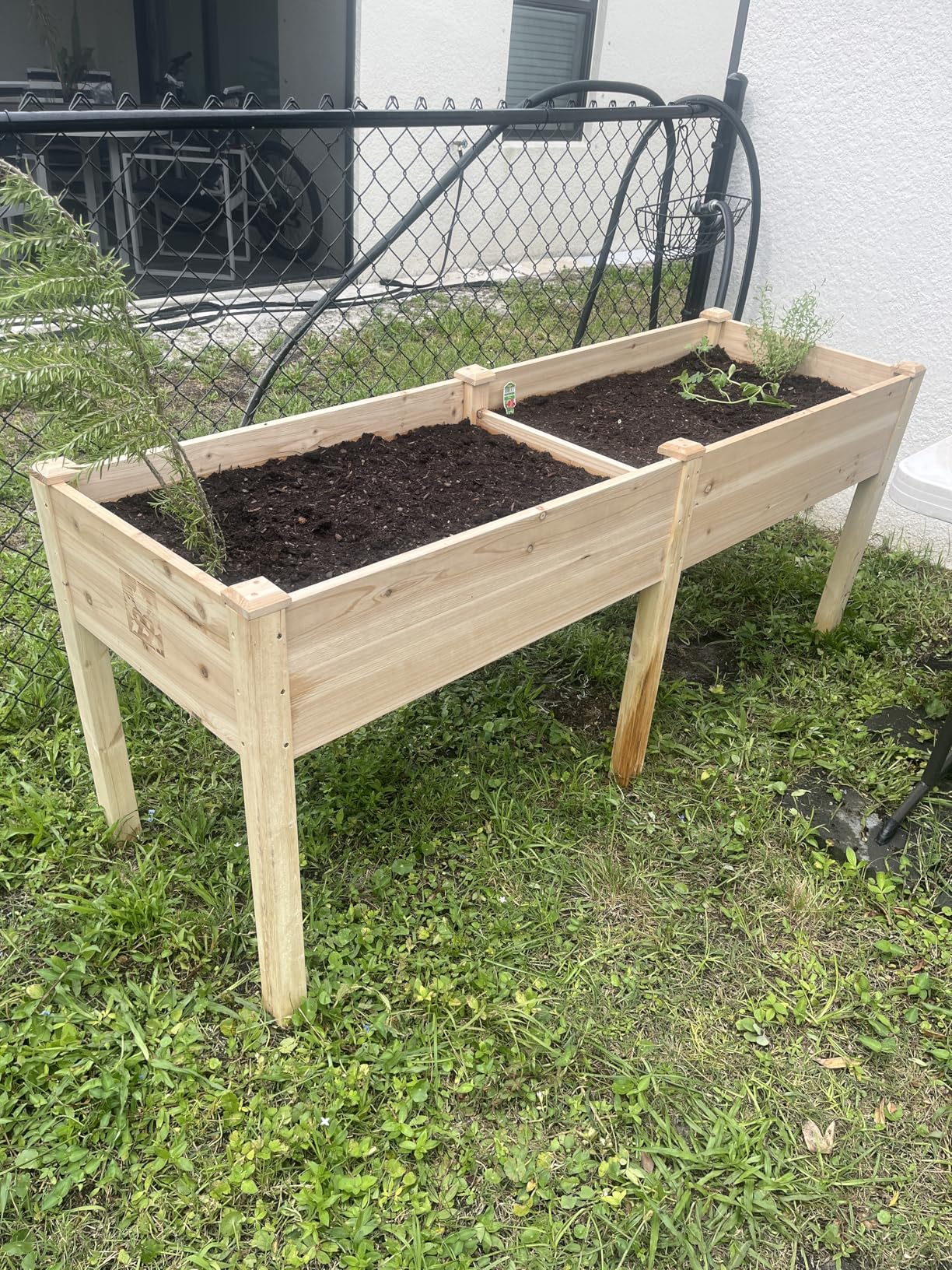 Raised Garden Bed with Legs 72x23x30 - Natural Cedar Wood Elevated Planter Box, Veggies, Herbs - 300lb Capacity - Natural - Customer Photo 3