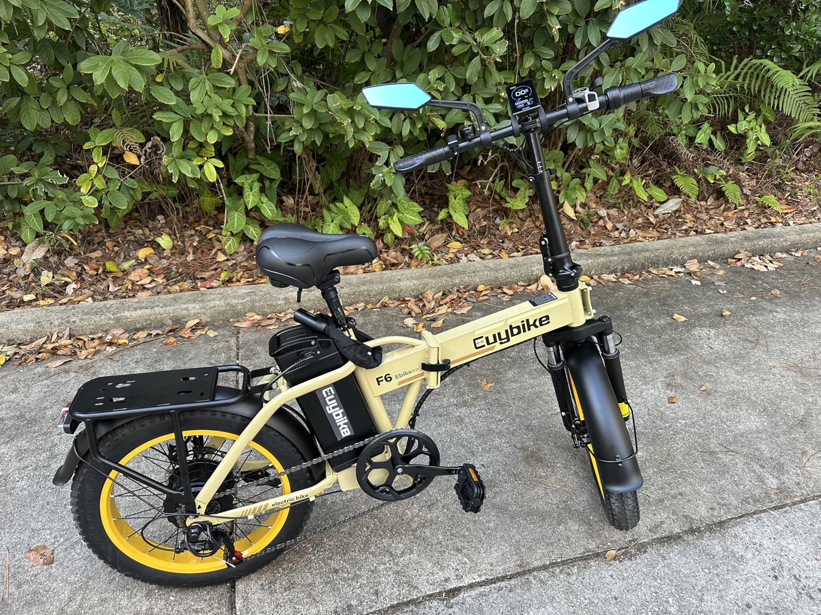 Foldable Electric Bike for Adults, 30+MPH, 48V 20Ah Removable Lithium Battery up to 80Miles, 20