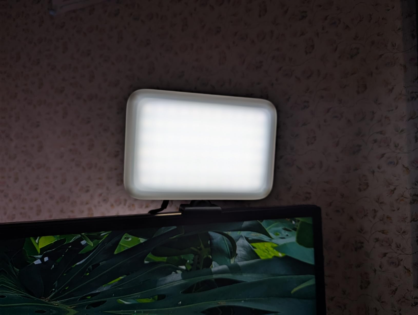 NEEWER BASICS 2 Pack LED Video Panel Light, Video Conference Lighting Kit with Desktop Tripod Stands/Filters for Webcam Desk Computer Laptop Zoom Call Makeup Recording Selfie Streaming, Dimmable, BP66 - Customer Photo 2