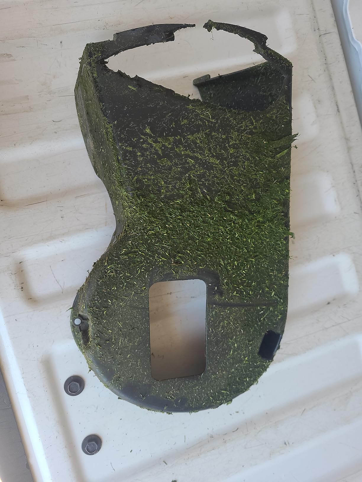 SENIX 144 cc Gas Lawn Mower, 20 inch 4-Cycle Push Mower, Side Discharge, 5 Position Cutting Height Adjustment, Low Noise & Fuel-Efficient for Lawn, Yard and Garden (LSPG-L5) - Customer Photo 4