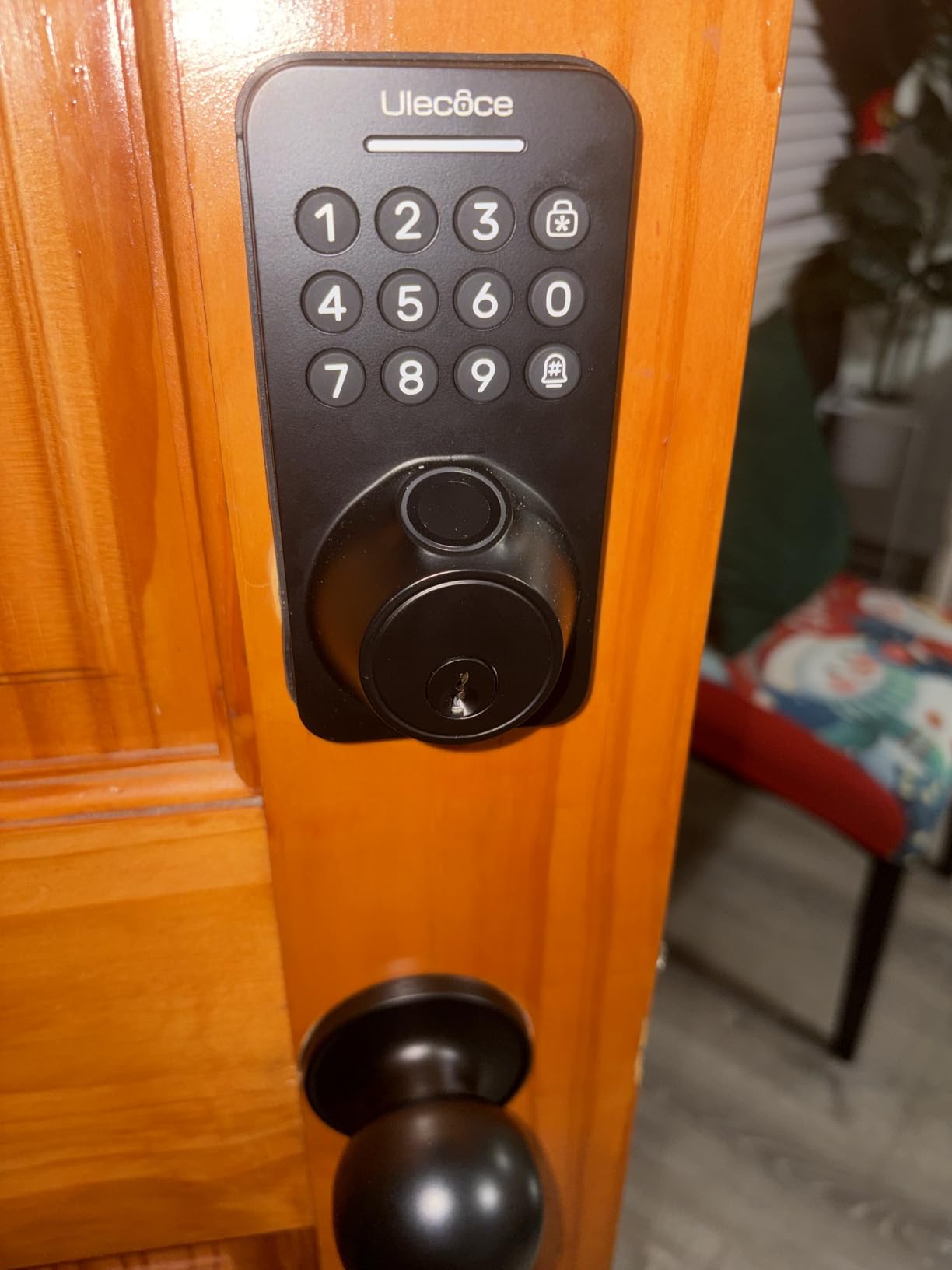 TEEHO TE012W WiFi Smart Lock, Fingerprint Door Lock with Built-in Wi-Fi, Keyless Entry Keypad Smart Deadbolt, App Remote Control, Alexa Compatible, IP55 Waterproof for Front Door - Matte Black - Customer Photo 2