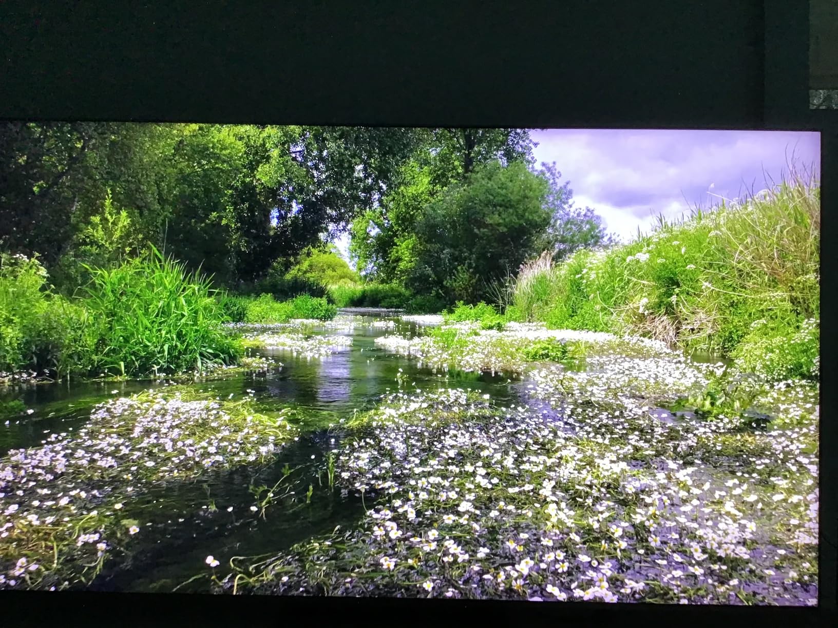 TCL 75 Inch Class QM8K Series | Mini LED QLED 4K HDR | 75QM8K, 2025 Model | 120HZ-144HZ Anti Reflective Wide Angle Screen Smart Google TV Dolby Atmos | Voice Remote Alexa Gaming Streaming Television - Customer Photo 2