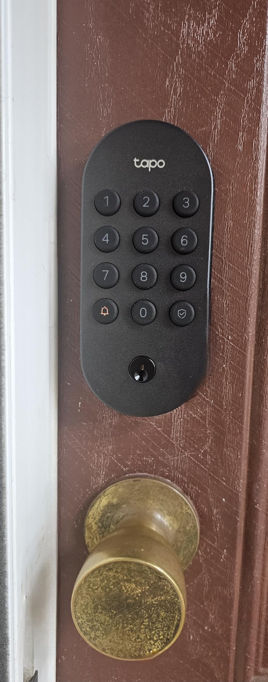 Tapo Smart Wi-Fi Deadbolt Door Lock – Keyless Tactile Buttons, Customized Access with in-App Monitoring, Auto-Lock, IP54 Weatherproof, BHMA Grade 3, Compatible with Standard Door Sizes, Tapo DL100 - Customer Photo 1