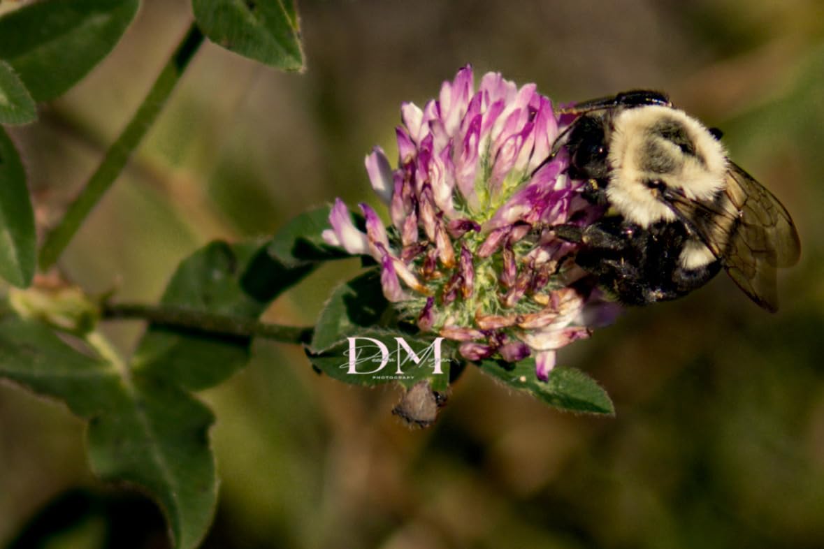 Godox TT520III Universal Bounce Flash Kit with Diffuser for Canon, Nikon, Sony, Fuji, Olympus Single-Contact Hot Shoe Cameras, 433MHz Wireless Speedlite, GN33, 400 Flashes, S1/S2 Optical Slave Modes Customer Review Godox TT520III Universal Bounce Flash Kit with Diffuser for Canon, Nikon, Sony, Fuji, Olympus Single-Contact Hot Shoe Cameras, 433MHz Wireless Speedlite, GN33, 400 Flashes, S1/S2 Optical Slave Modes - Customer Photo 1