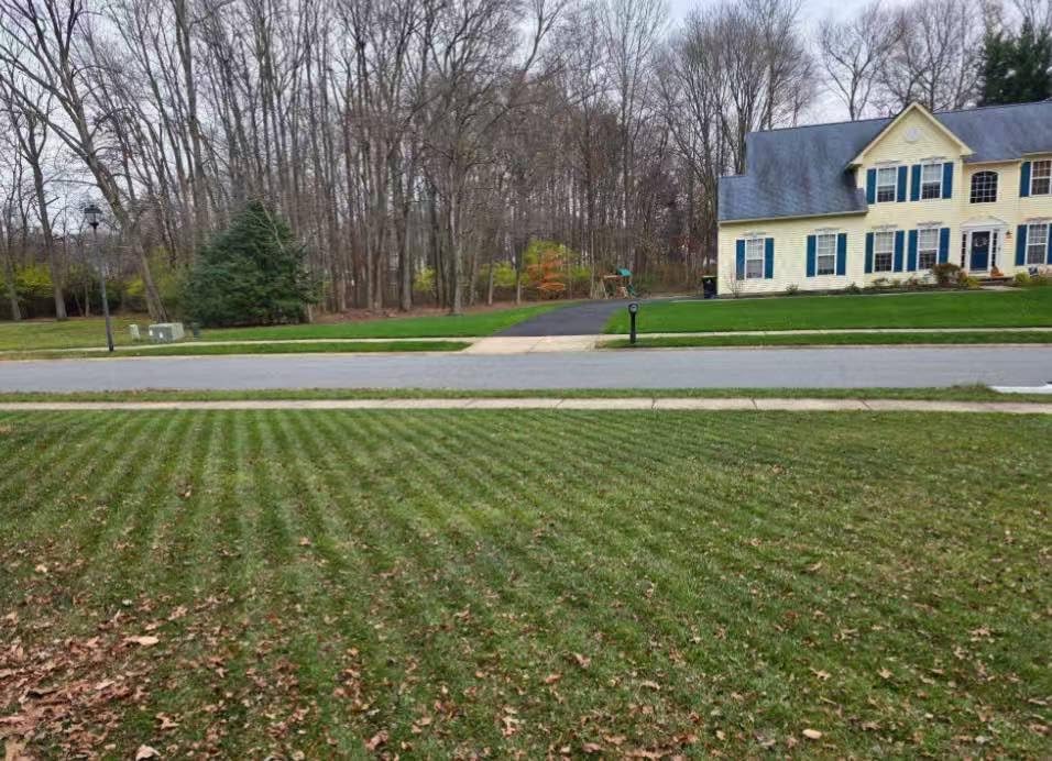 Robot Lawn Mower — 1.5 Acre Ultra Quiet Self Charging Robot Mower, Up to 4 inches Cutting Height, Robotic Lawn Mowers with RTK+4 Eye Vision, Mapping and Anti Theft tech, APP Control - Customer Photo 1