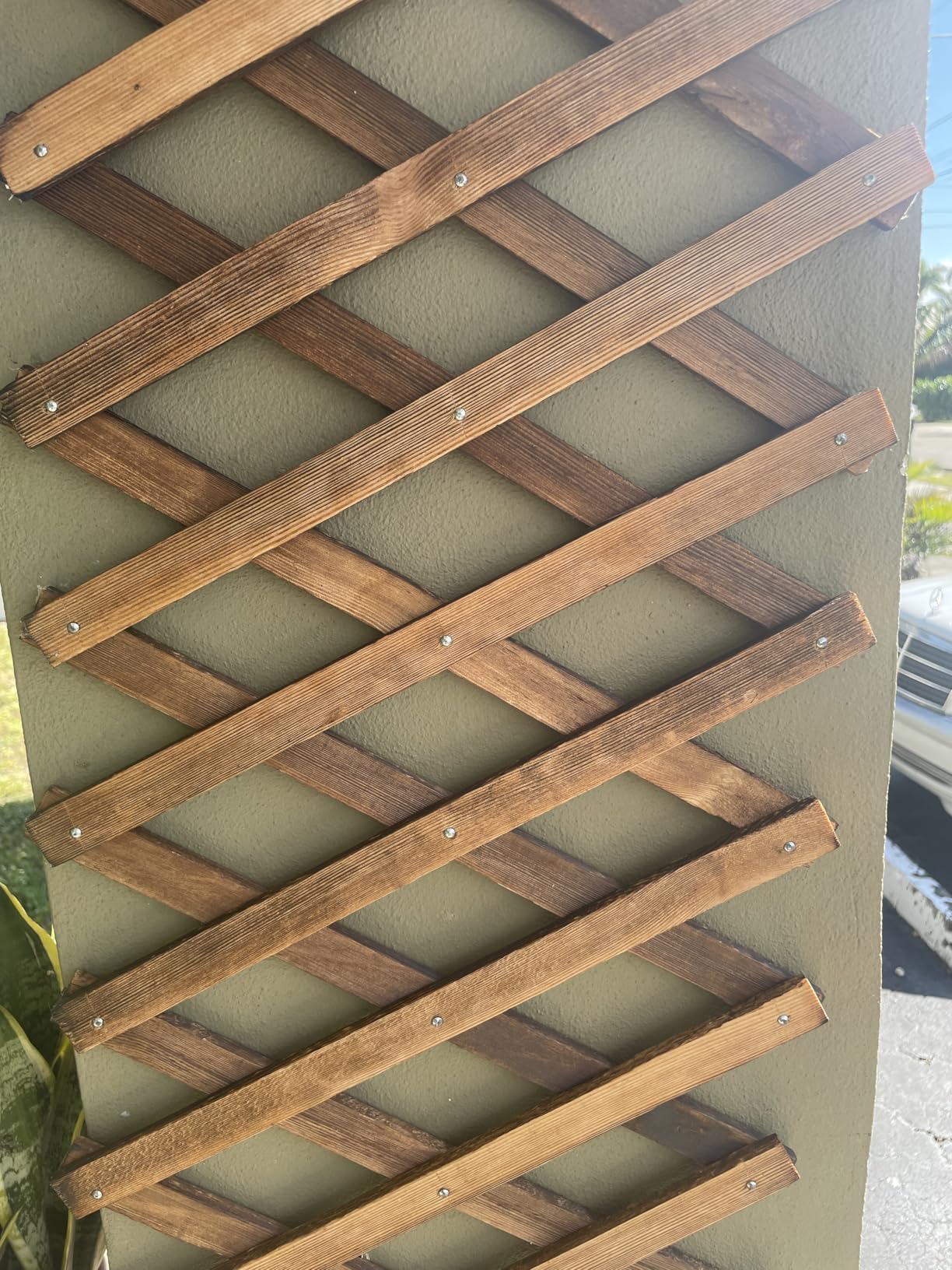 Expandable Wooden Lattice Trellis, Outdoor Decorative Fence Panels for Climbing Plants, Vine Ivy Rose Support, Balcony Wall Decor, Yard Landscape Edging, Patio Divider, Animal Barrier (3 Pack) - Customer Photo 1