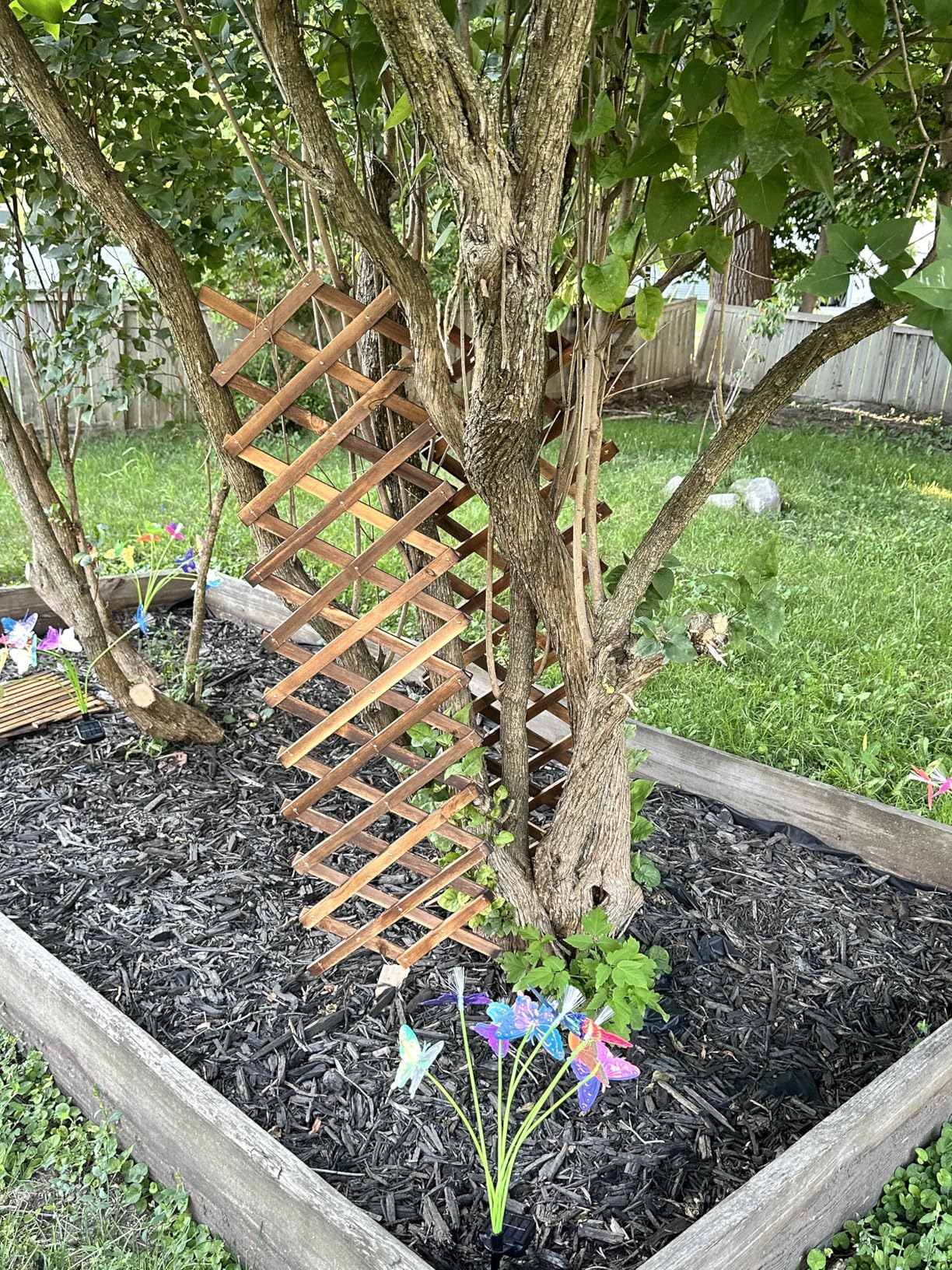 Expandable Wooden Lattice Trellis, Outdoor Decorative Fence Panels for Climbing Plants, Vine Ivy Rose Support, Balcony Wall Decor, Yard Landscape Edging, Patio Divider, Animal Barrier (3 Pack) - Customer Photo 2