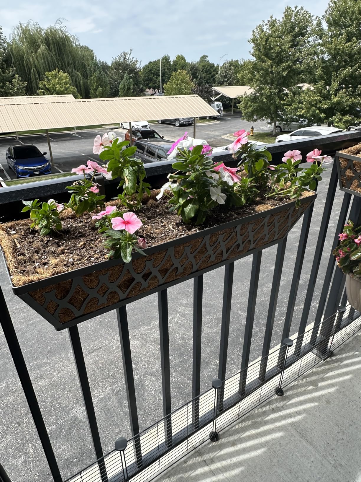 2 Pack 24 Inch Window Boxes Planter for Outdoor Plants Deck Railing Planters Box with Adjustable Brackets for Porch Fence Balcony Hanging Flower Baskets with Non-Woven Fabric Liner for Garden Decor - Customer Photo 2