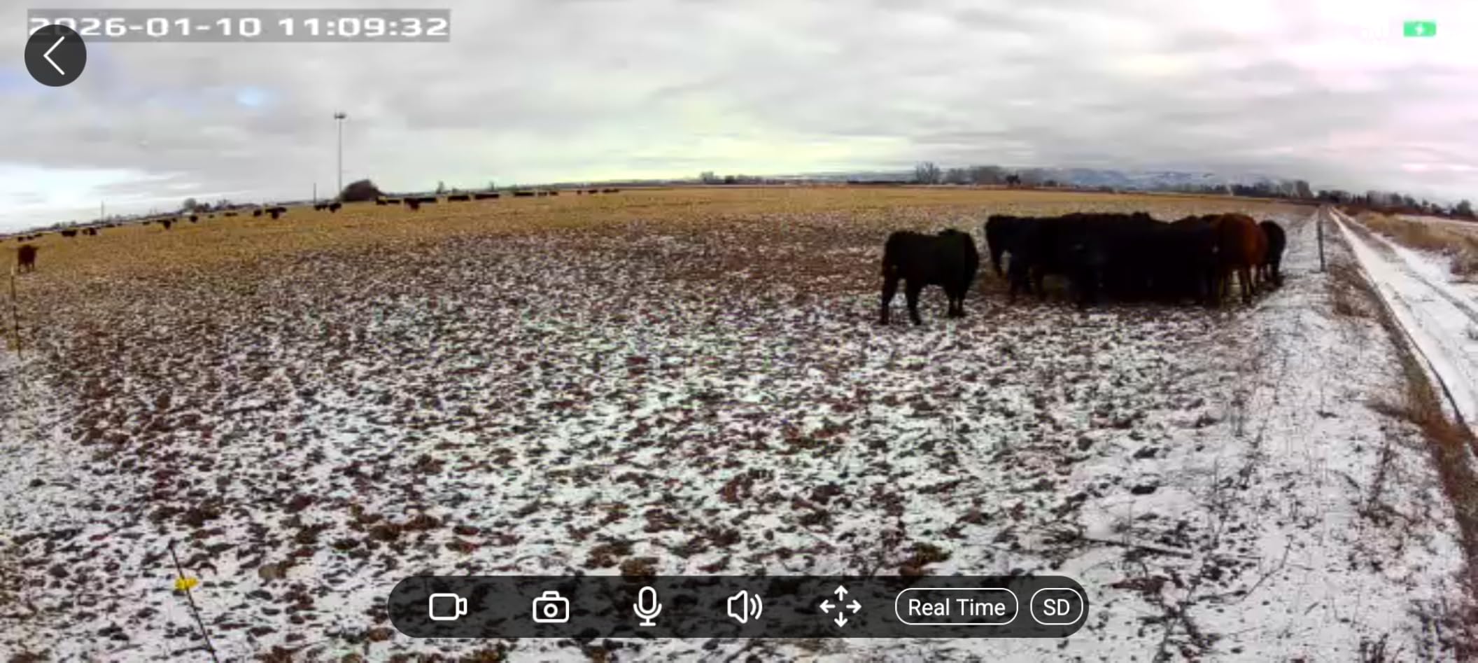 Solar Security Cameras Wireless Outdoor, 2K Pan/Tilt 360° View Solar/Battery Powered WiFi Cameras for Home Security with AI Motion Detection, Spotlight, 2-Way Audio, Siren, IP65, SD/Cloud Storage - Customer Photo 1