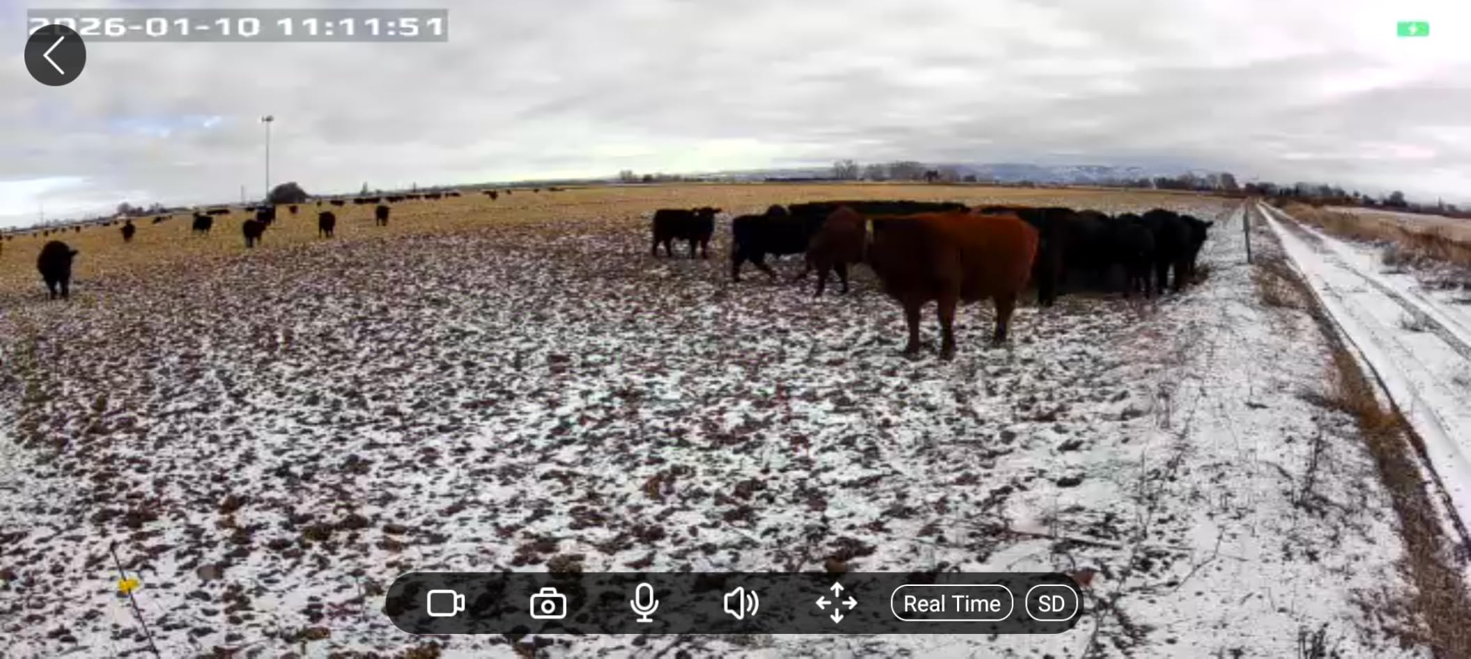 Solar Security Cameras Wireless Outdoor, 2K Pan/Tilt 360° View Solar/Battery Powered WiFi Cameras for Home Security with AI Motion Detection, Spotlight, 2-Way Audio, Siren, IP65, SD/Cloud Storage - Customer Photo 2