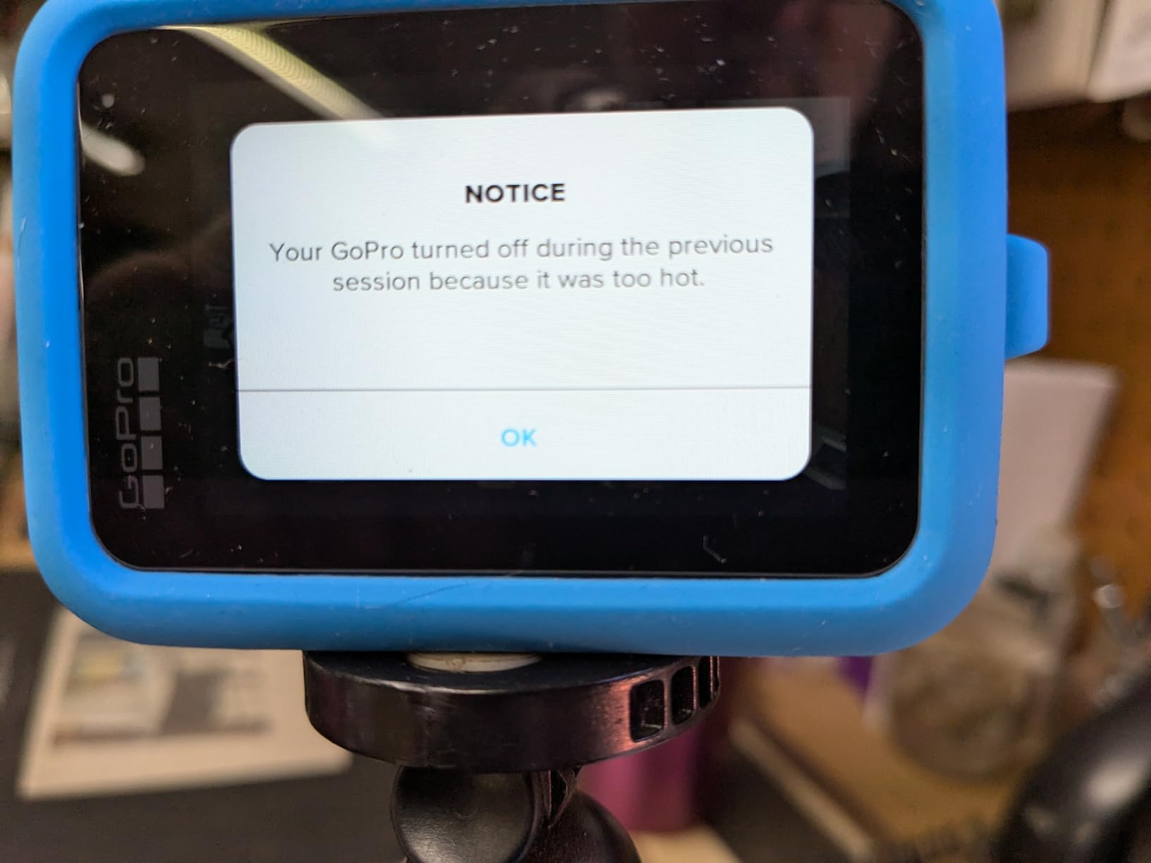 GoPro HERO13 Black Action Bundle - Includes 2 Enduro Batteries and Waterproof Shutter Remote Customer Review GoPro HERO13 Black Action Bundle - Includes 2 Enduro Batteries and Waterproof Shutter Remote - Customer Photo 2