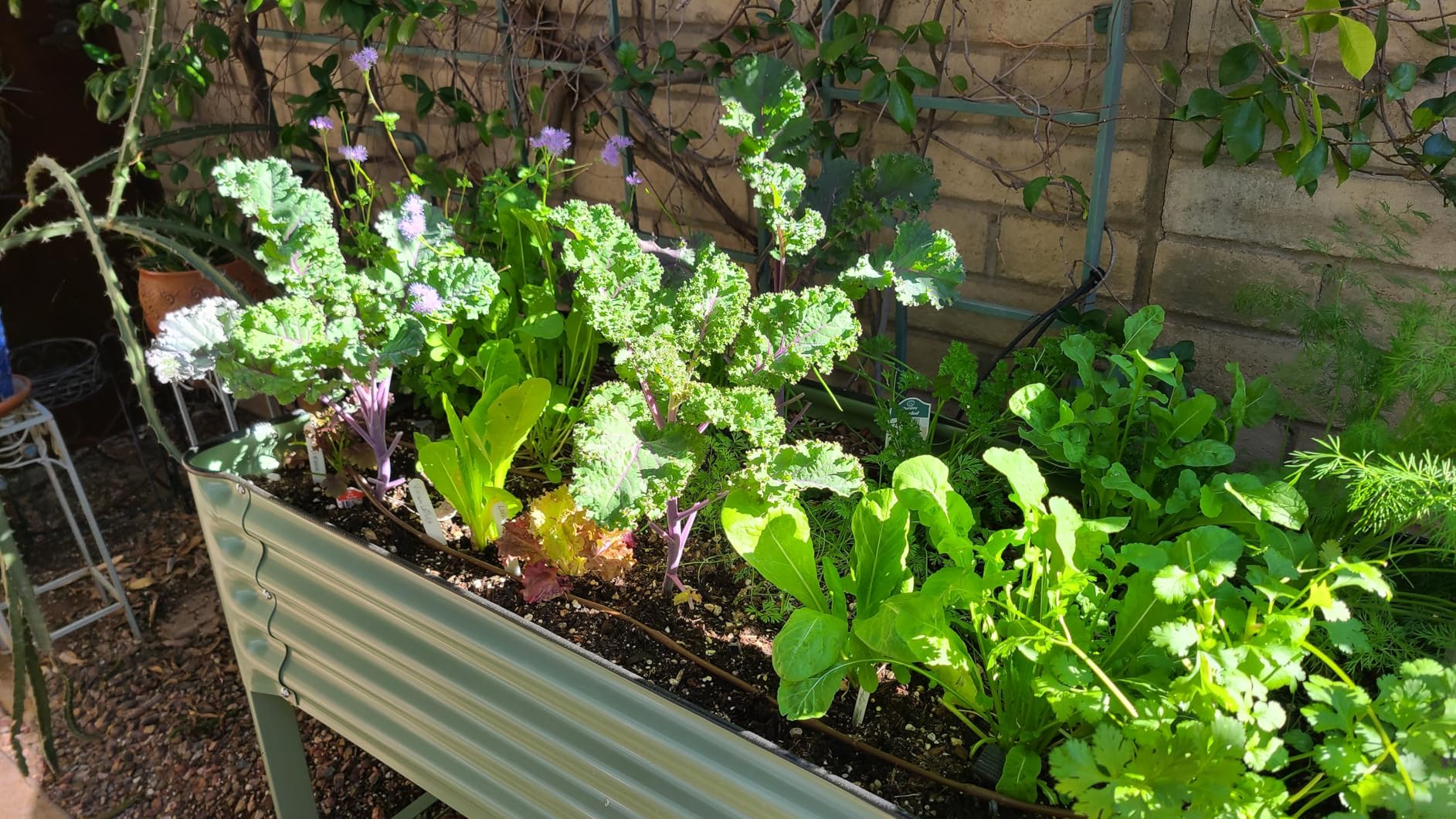 Rolling Elevated Raised Garden Bed-V Series, 2' x 6' Garden Beds with Legs & Storage Rack for Patio & Porch, 1000 Lbs Weight Capacity, Outdoor Planter Box for Vegetables Flower Herbs, Olive Green - Customer Photo 1