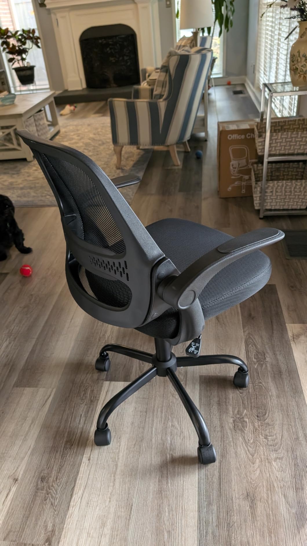 Ergonomic Mesh Office Chair for Home Office, Flip-Up Arms, Breathable Mesh Back & Thick Seat Cushion, Swivel Rolling Computer Desk Chair, BIFMA Certified, Supports 300 lbs (Black Frame/Black Seat) - Customer Photo 2