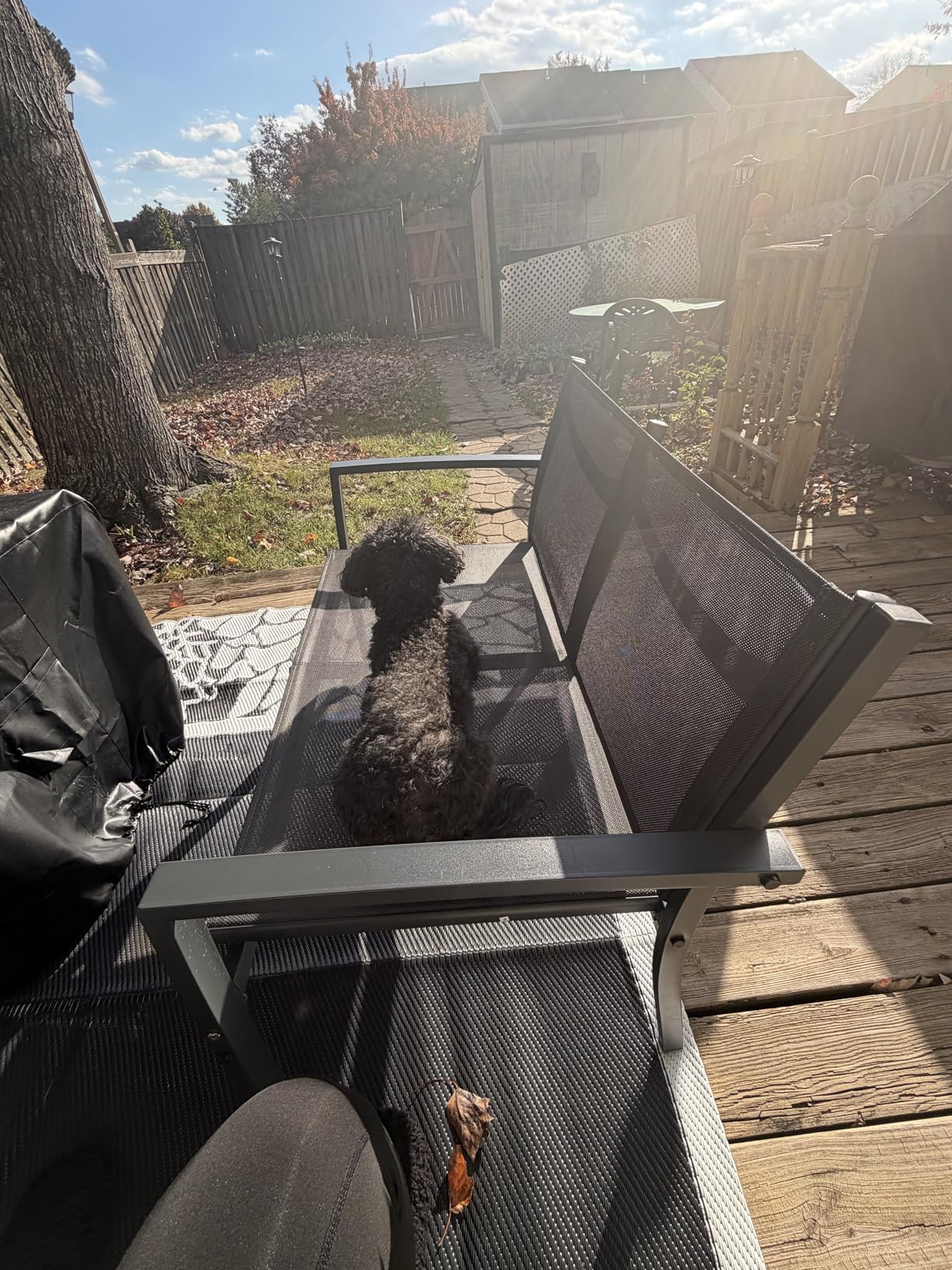 Shintenchi 4 Pieces Patio Furniture Set All Weather Textile Fabric Outdoor Conversation Set, with Glass Coffee Table, Loveseat, 2 Single Chairs for Home, Garden, Lawn, Porch(Black) Customer Review Shintenchi 4 Pieces Patio Furniture Set All Weather Textile Fabric Outdoor Conversation Set, with Glass Coffee Table, Loveseat, 2 Single Chairs for Home, Garden, Lawn, Porch(Black) - Customer Photo 1