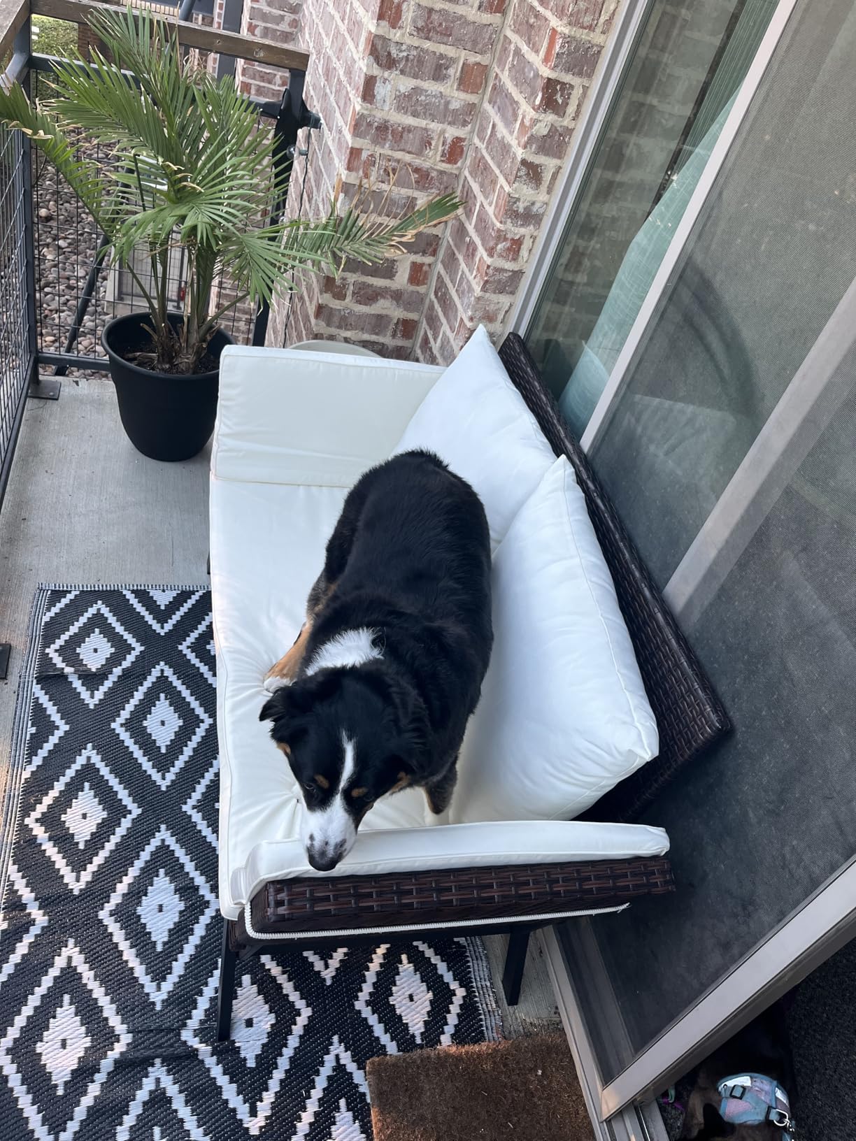 Greesum Outdoor Sofa, Woven Rattan Patio Furniture, Convertible Daybed or Double Chair with Adjustable Armrests, Cushions and Pillows for Yard, Porch, Pool, Brown Lounger & Beige Pillowcase - Customer Photo 2