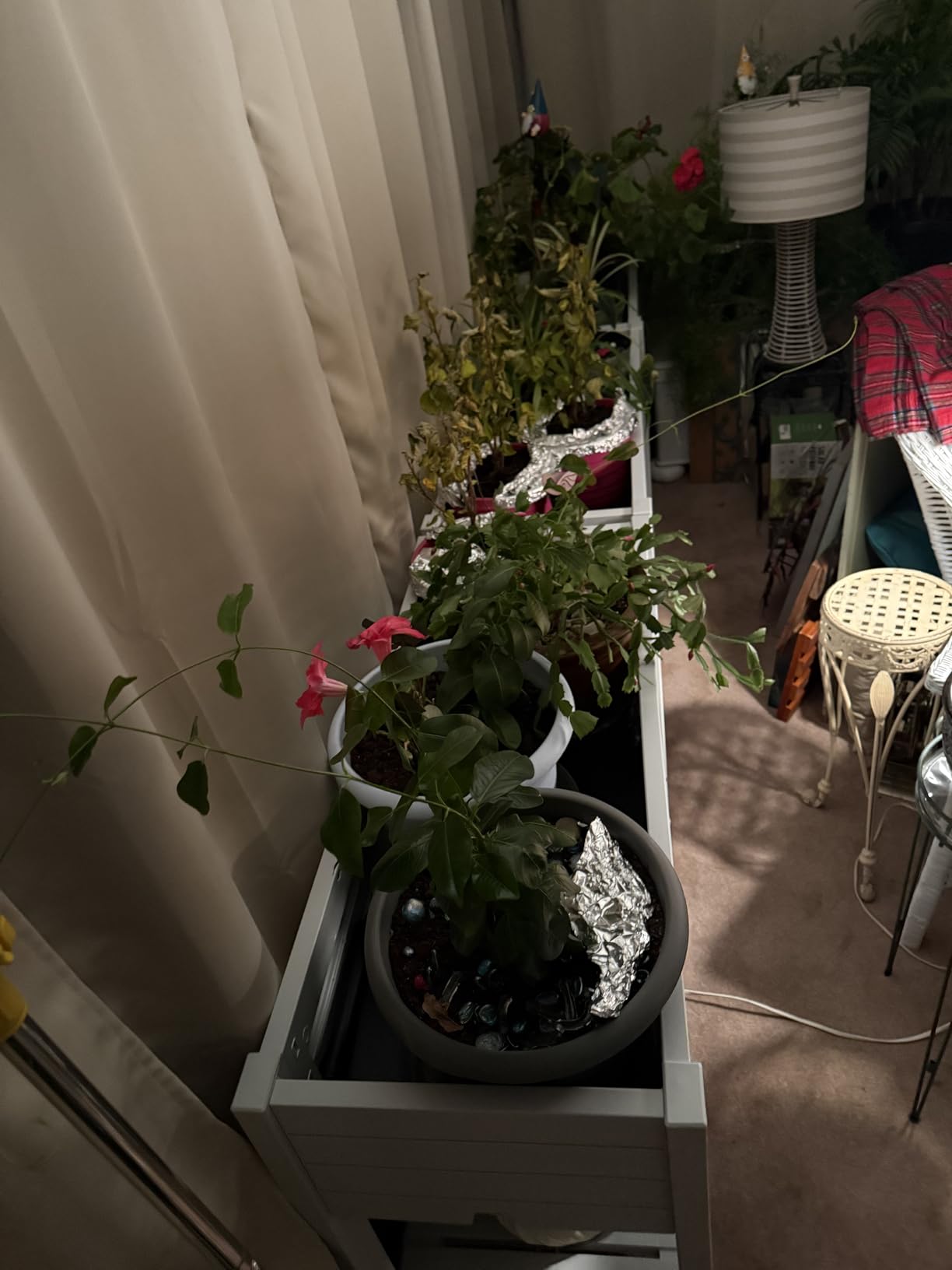 Elevated Raised Garden Bed with Trellis,Outdoor Large Resin Patio Planter Box Stand Divisible with Drain Plug,Water Monitor for Plants Vegetables Flowers Fruits (Ashen, 43.43 * 18.27 * 64.29) - Customer Photo 2