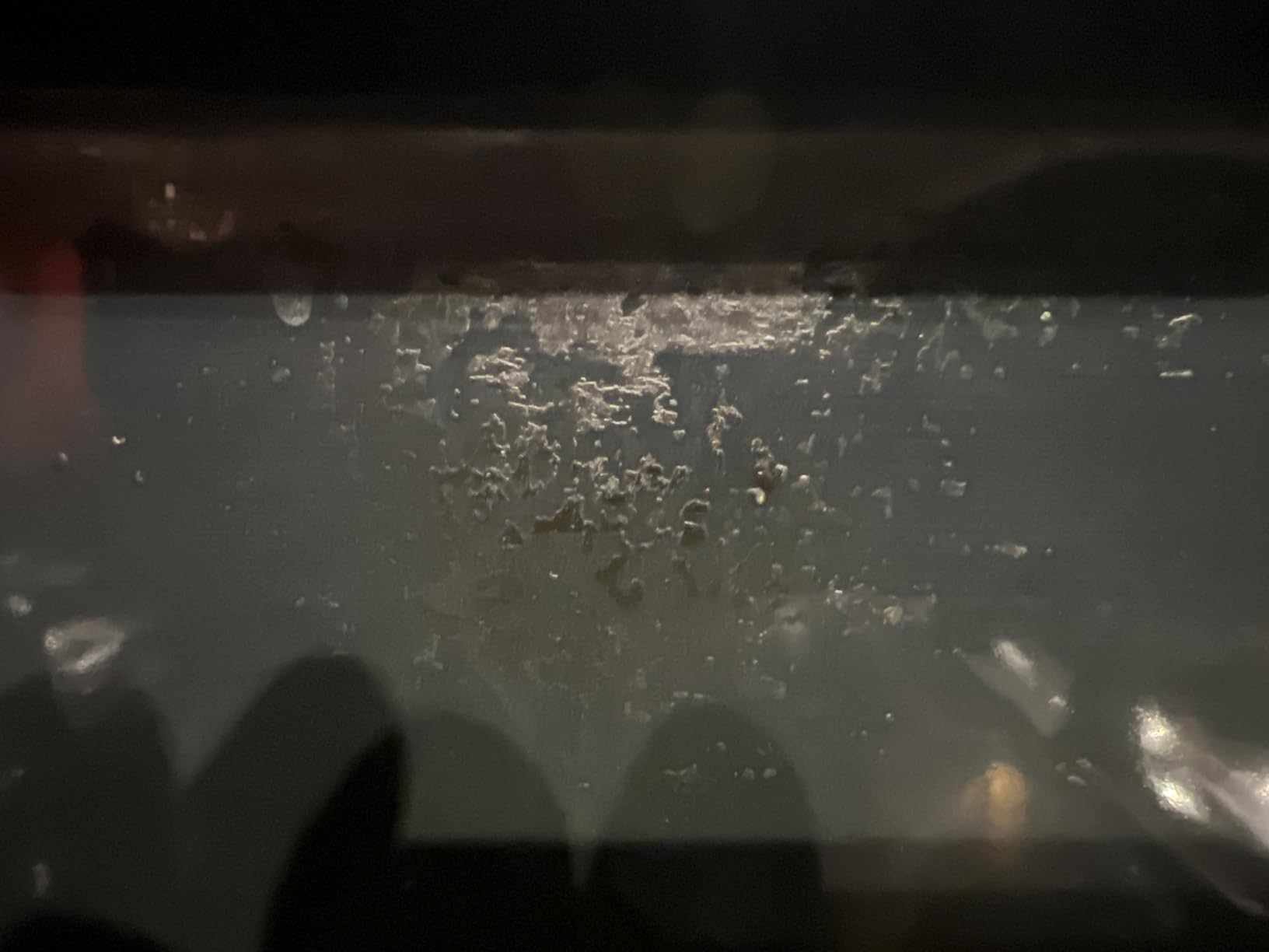 Steam Mop, 13-in-1 Powerful Handheld Steam Cleaner with 13 Accessories, 500ML Removable Tank, 23FT Power Cable, Detachable Steam Mops for Floor Cleaning, Tiles, Windows, Tile Grout, Carpets, Furniture - Customer Photo 2