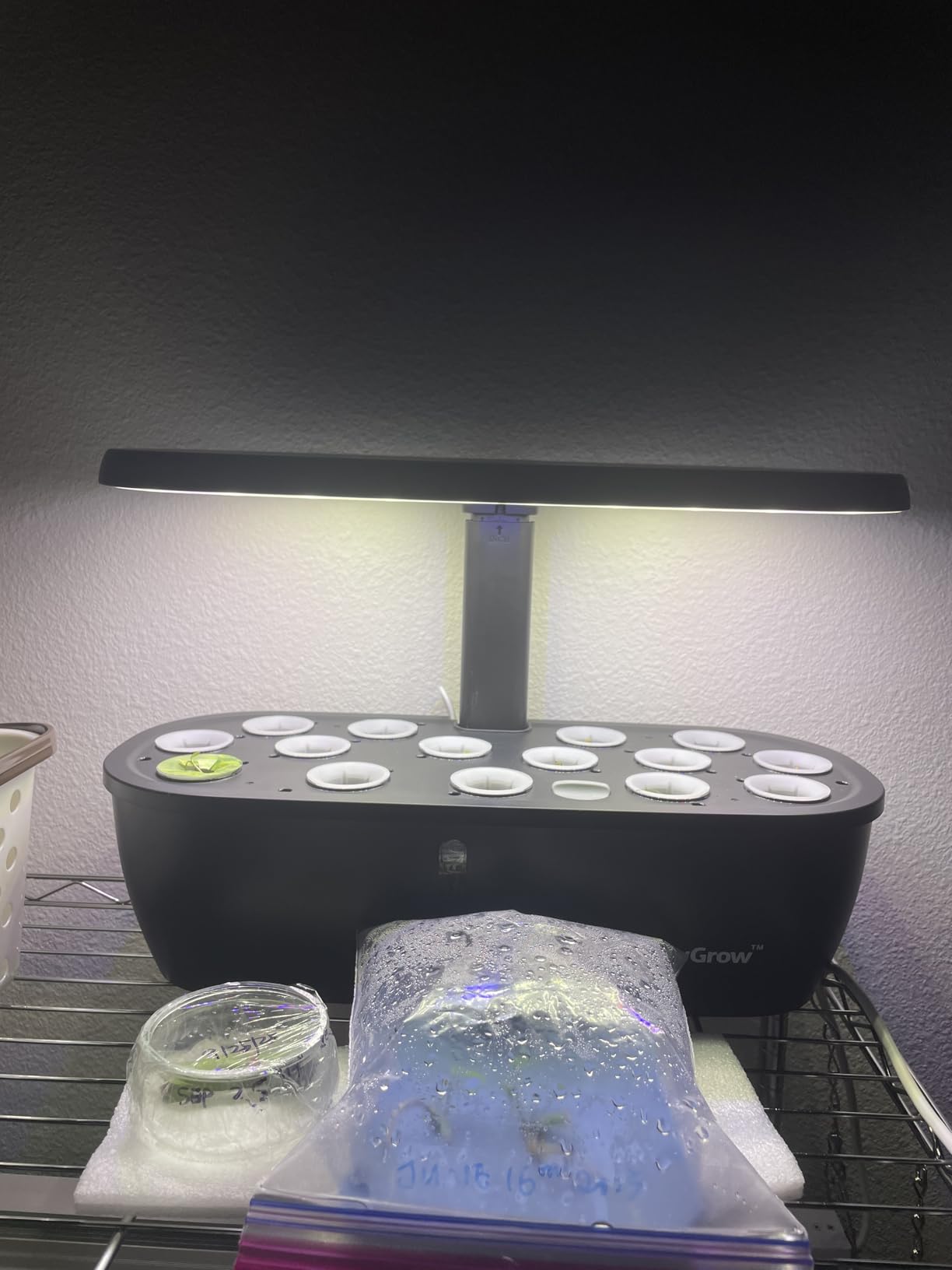 MG-15 Hydroponic Growing System Kits, Smart Indoor Garden with 24W Grow LED Light Full Spectrum, 15 Pods Herb Garden Planter Indoor Gardening for Gifts, Kitchen - Customer Photo 2