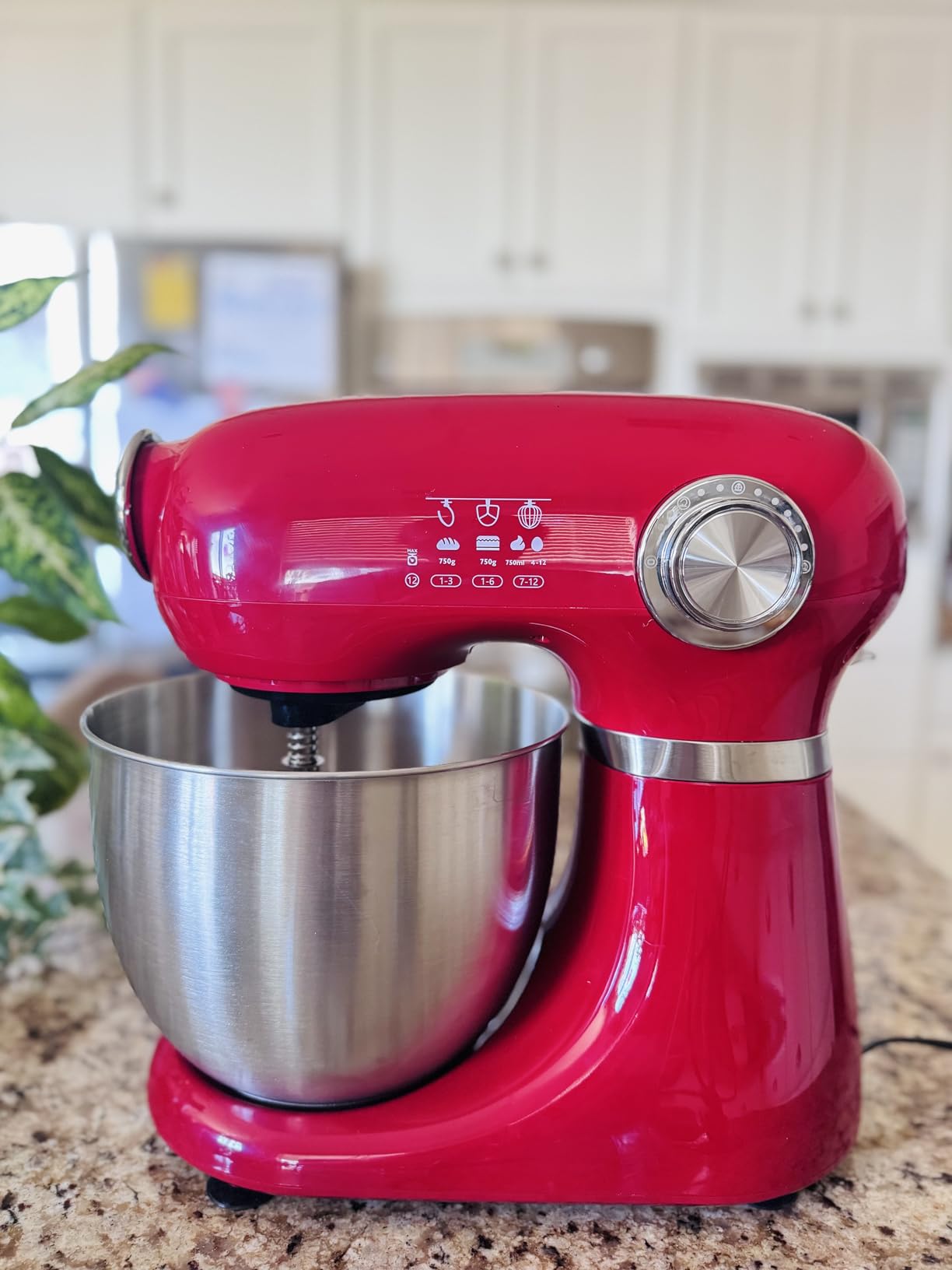 Electactic Stand Mixer With 12 Speed, 5.3 Quart Electric Mixer With Tilt Head, Kitchen Mixer for Daily Use with Egg Whisk, Dough Hook, Flat Beater, BLACK - Customer Photo 1