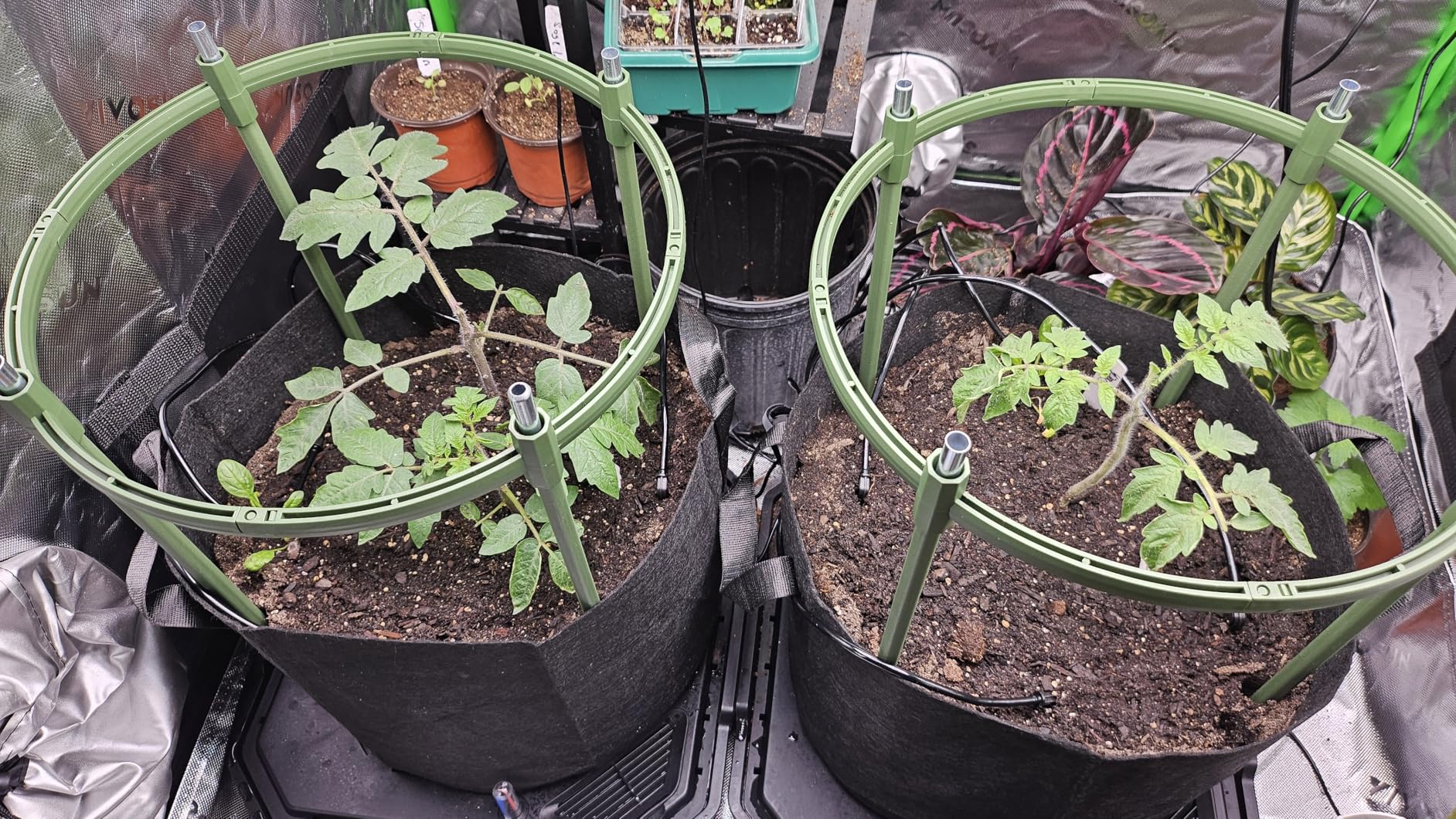 VIVOSUN Automatic Drip Irrigation Kit, Smart Watering System with 16 Drip Emitters, 4mm Fast Flow, App-Controlled A10 GrowHub, Quiet 15W Pump, Anti-Siphon & Filtered for Indoor & Outdoor Plants - Customer Photo 1