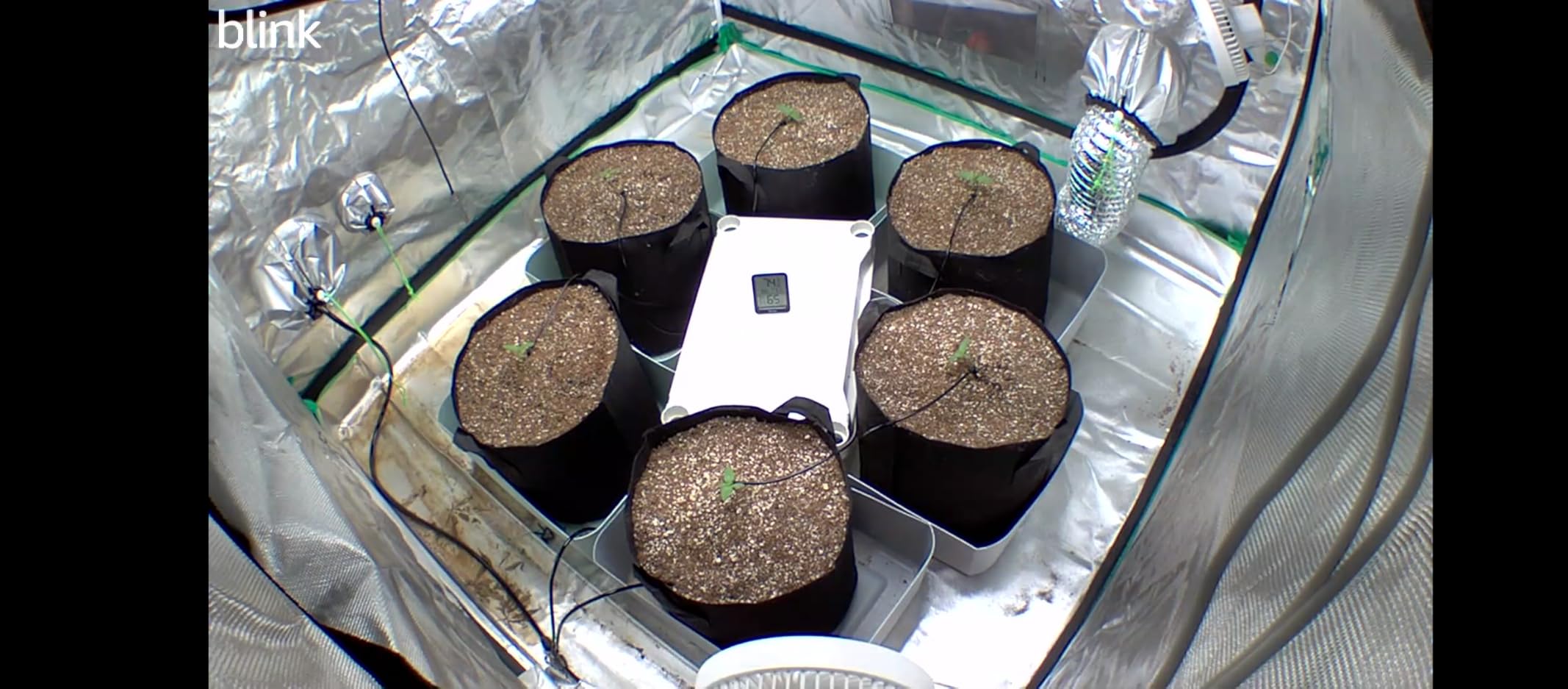 VIVOSUN Automatic Drip Irrigation Kit, Smart Watering System with 16 Drip Emitters, 4mm Fast Flow, App-Controlled A10 GrowHub, Quiet 15W Pump, Anti-Siphon & Filtered for Indoor & Outdoor Plants - Customer Photo 2