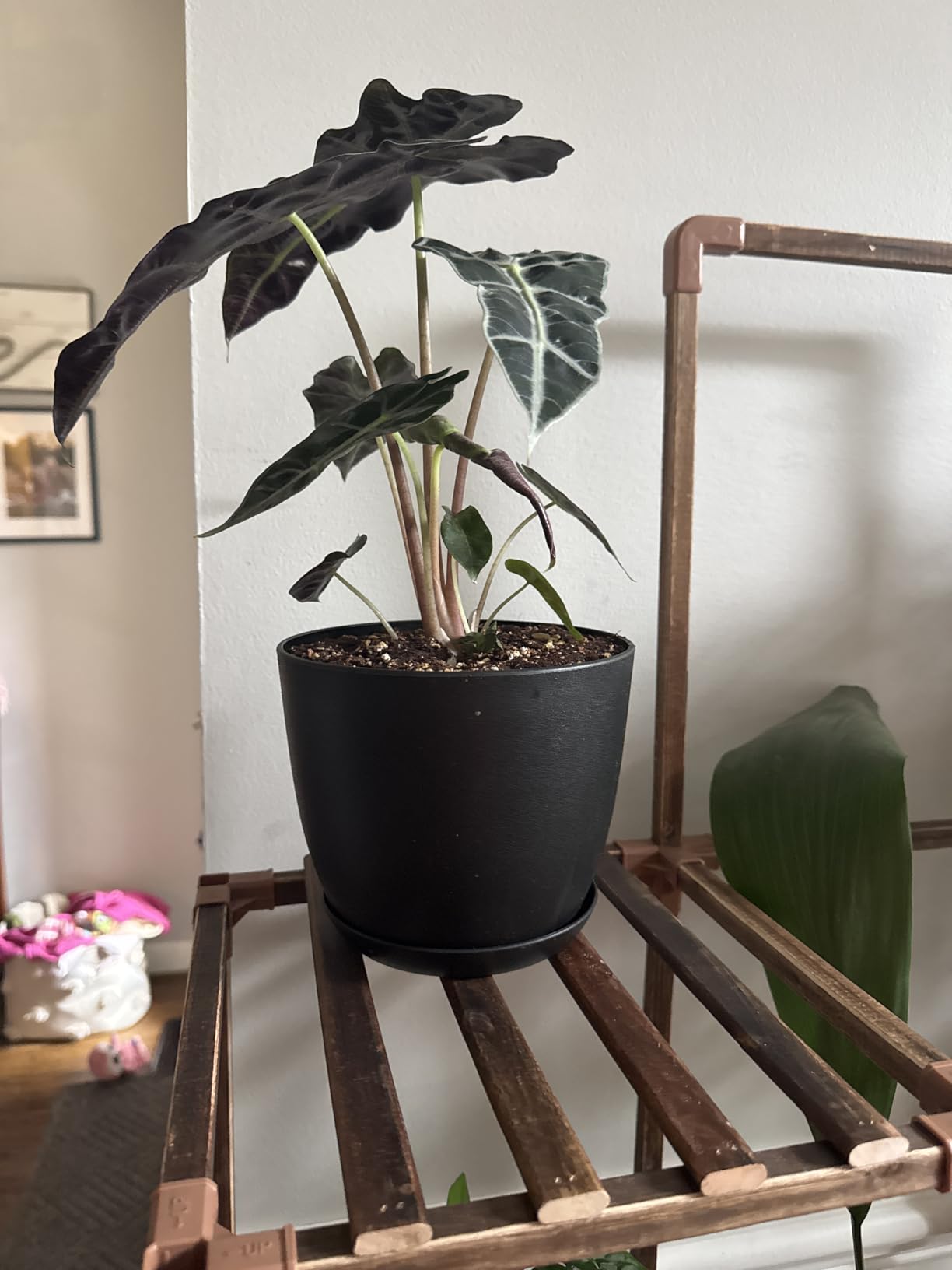 Terracotta Plant Pots with Drainage Holes & Saucers 5 Pack, Indoor & Outdoor Stackable Space-Saving Planters for Houseplants & Flowers, (7