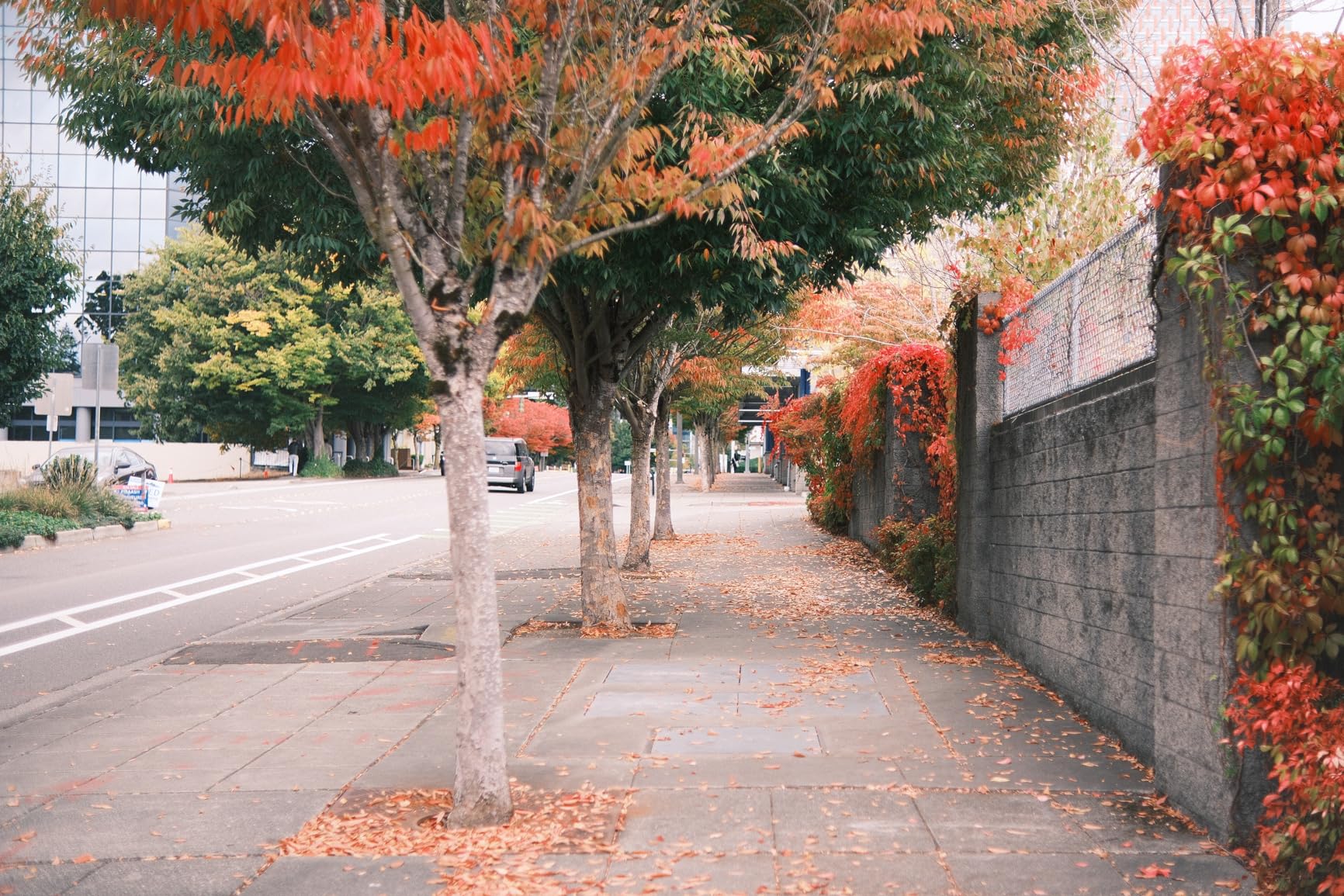 VILTROX 25mm F1.7 Lightweight APS-C Lens for X-Mount, Large Aperture STM Autofocus Prime Lens for X-T5 X-H2 X-T50 X-M5 X-T30 II X-Pro3 X-S20 X-E4 - Customer Photo 1