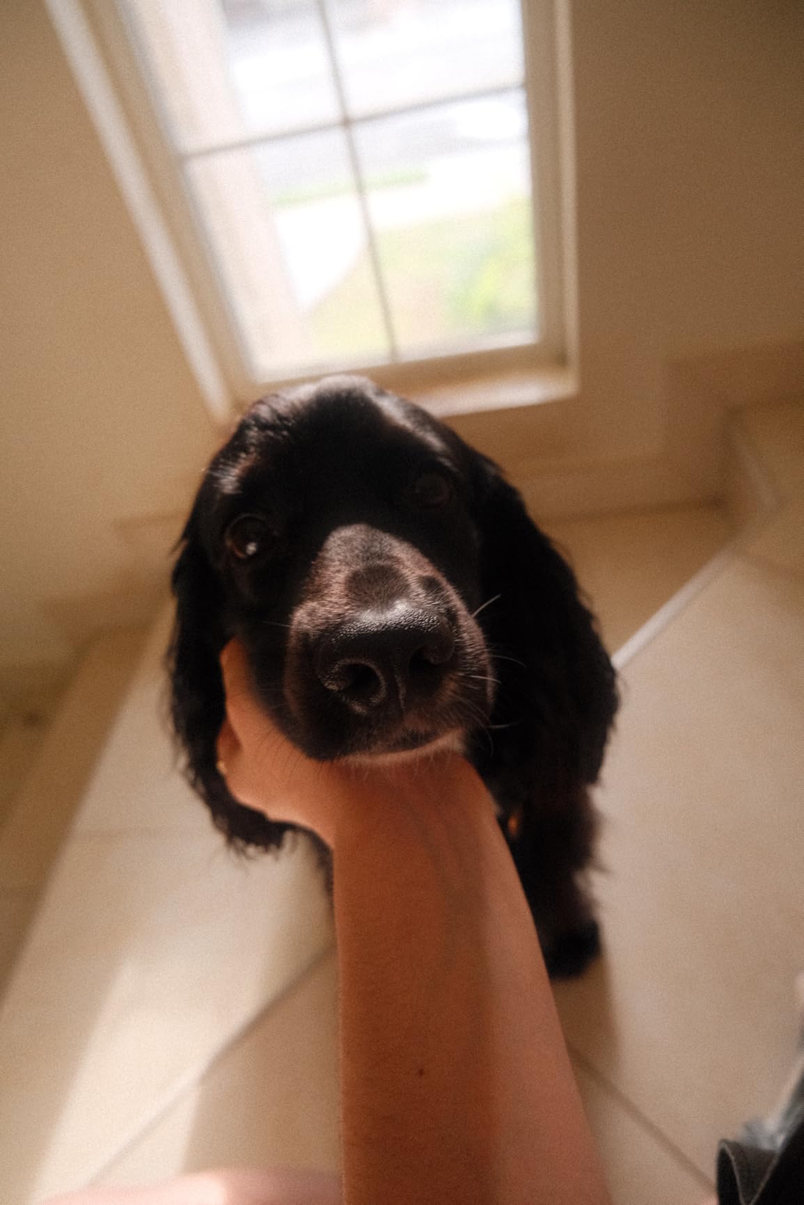 FUJIFILM X-M5 Mirrorless Digital Camera XC15-45mmF3.5-5.6 OIS PZ Lens Kit - Silver - Customer Photo 2